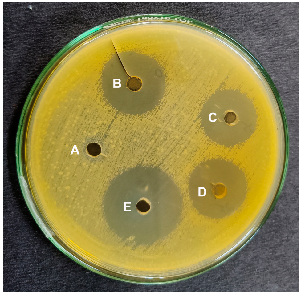 Applmicrobiol 06 00092 g001 Applmicrobiol 06 00092 g001