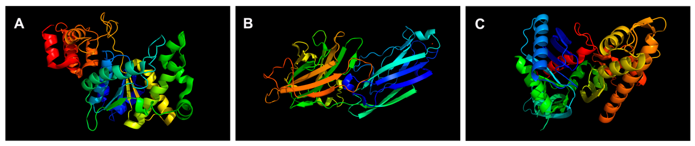 Applmicrobiol 06 00092 g002 Applmicrobiol 06 00092 g002