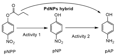 Applnano 02 00001 i003