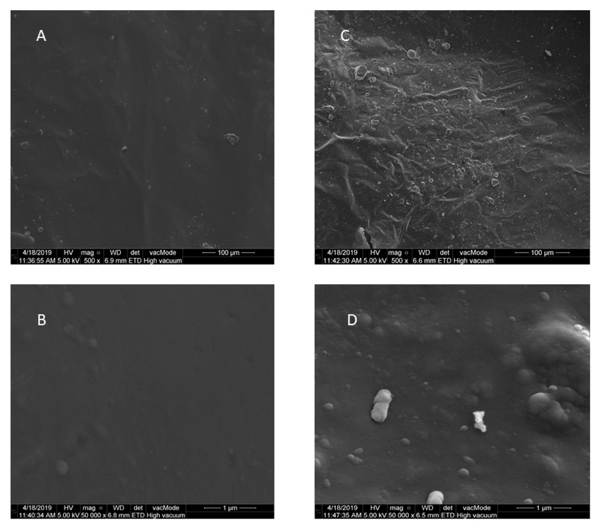 Applnano 02 00002 g002