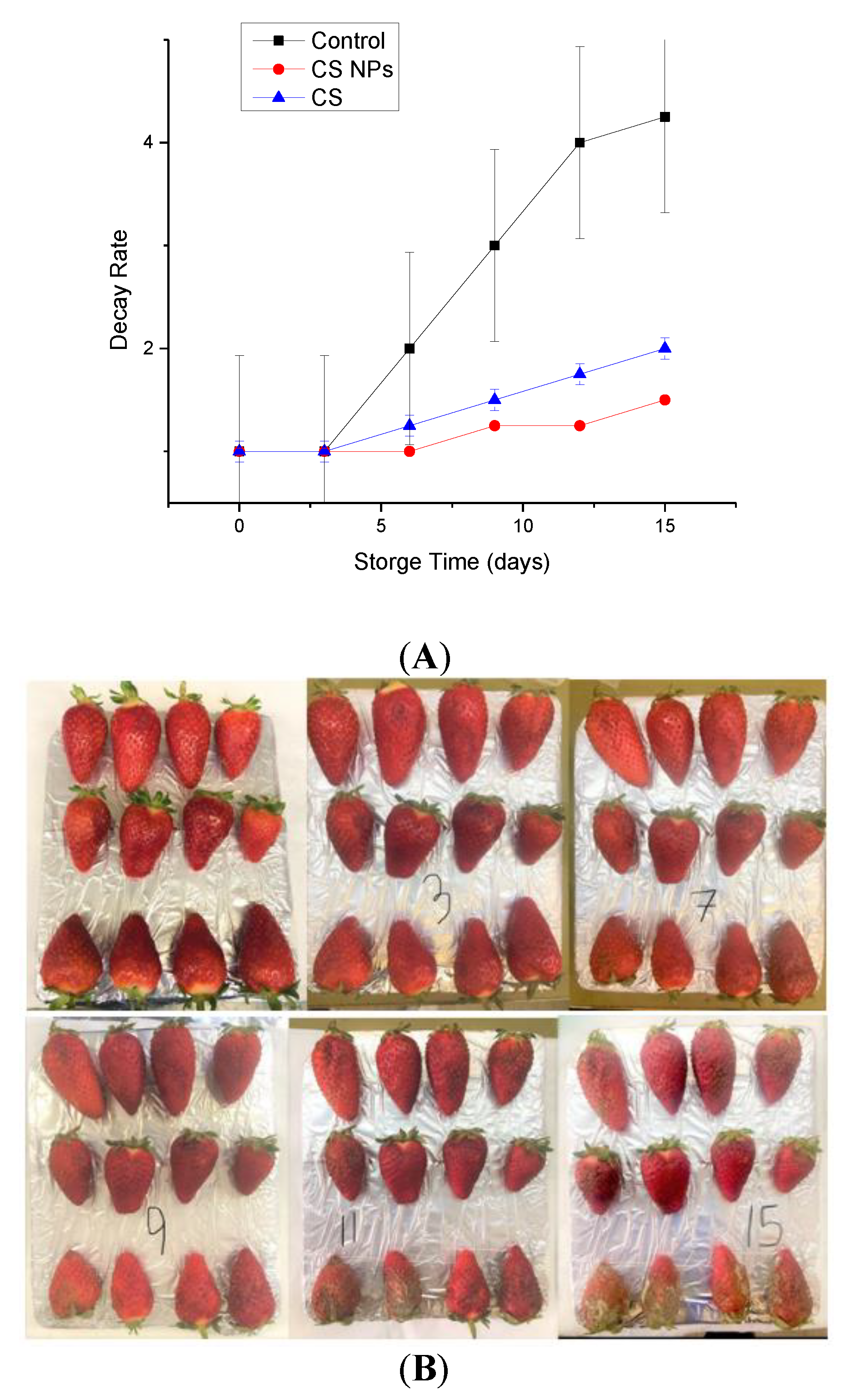 Applnano 02 00002 g008