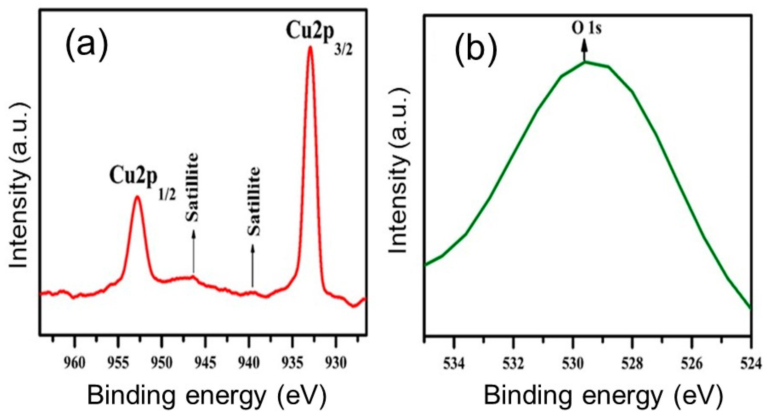 Applnano 02 00005 g005