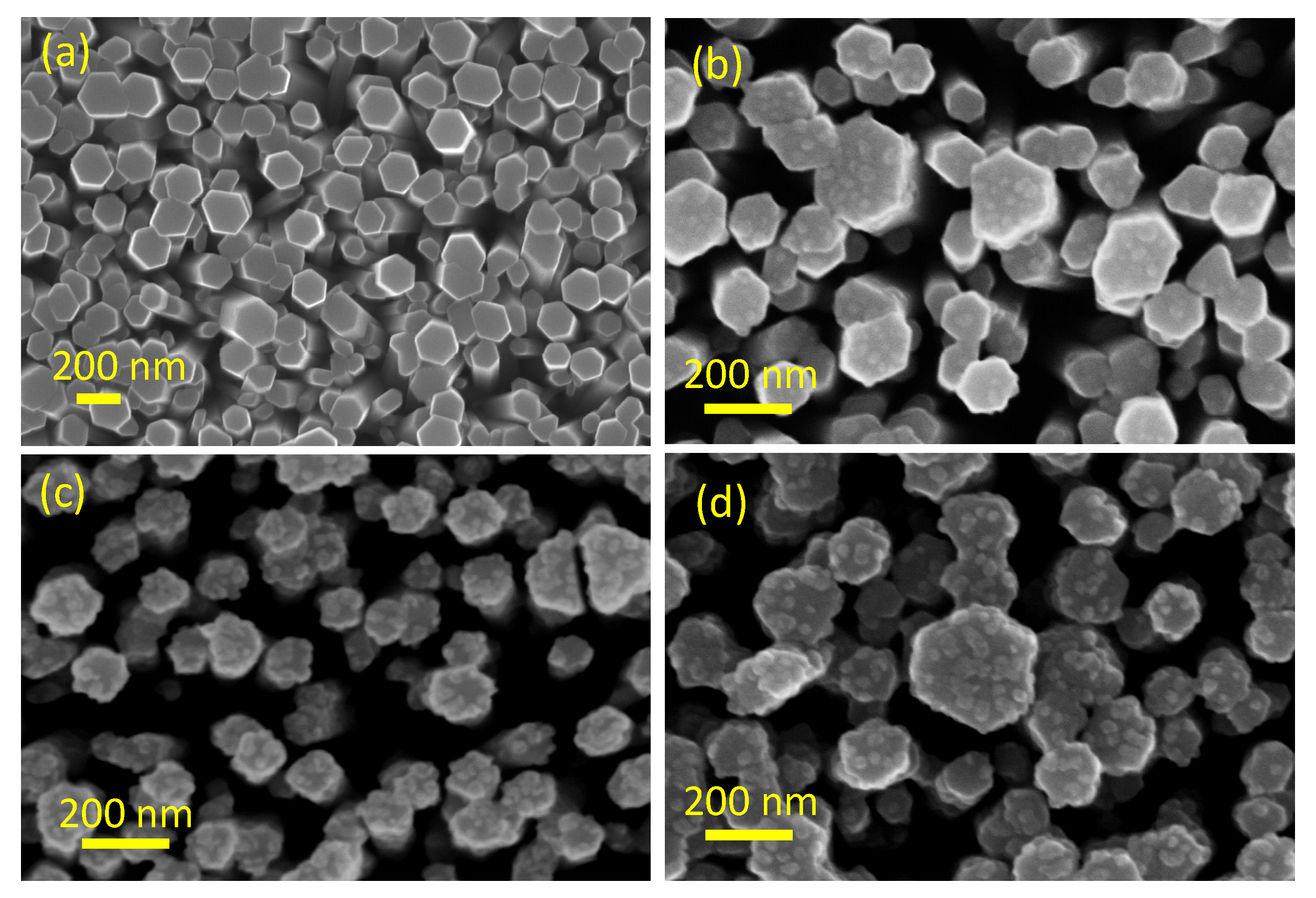 Applnano 02 00012 g001