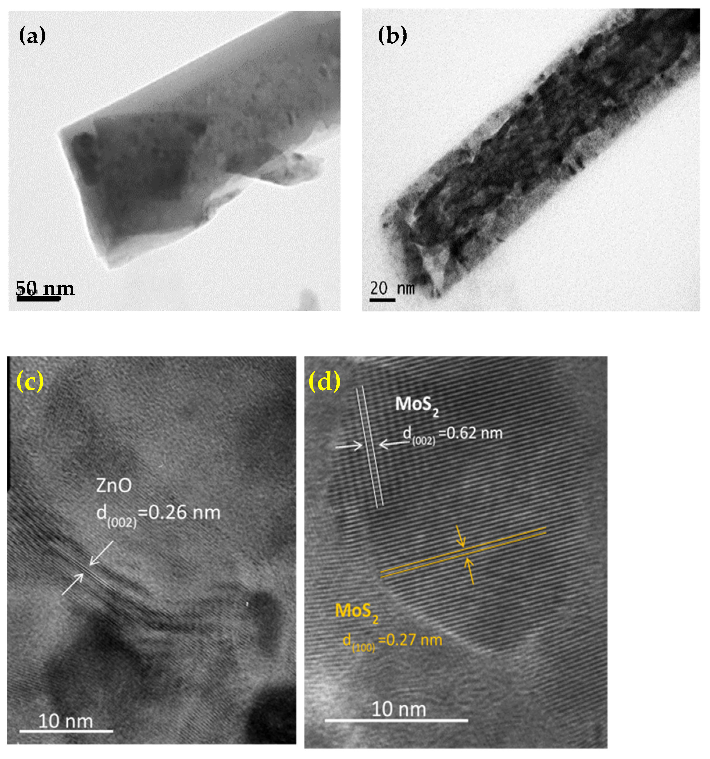 Applnano 02 00012 g002