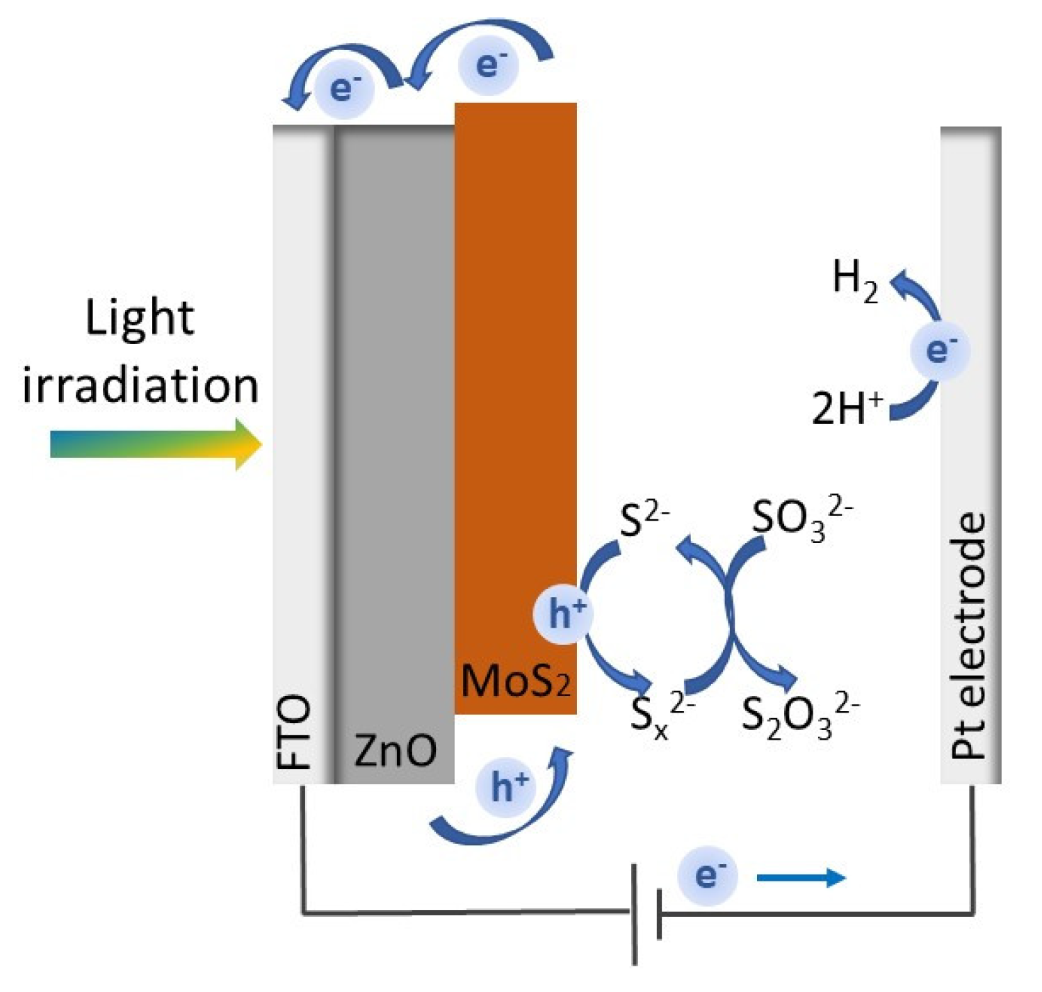 Applnano 02 00012 g007
