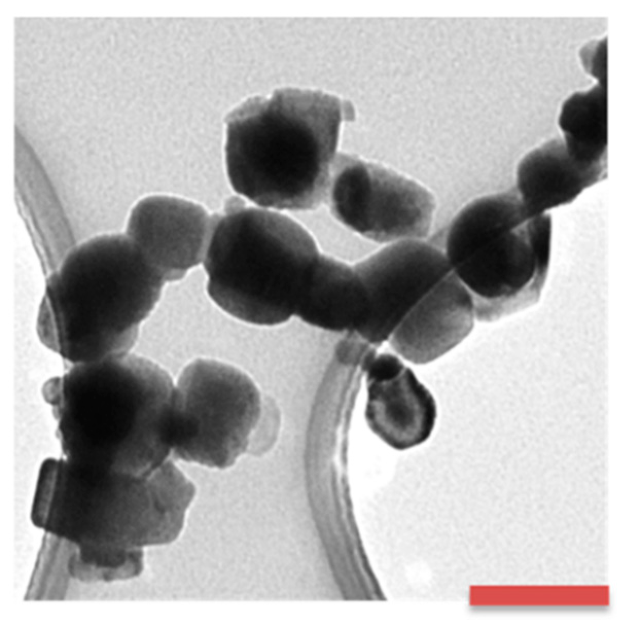 Applnano 02 00014 g001