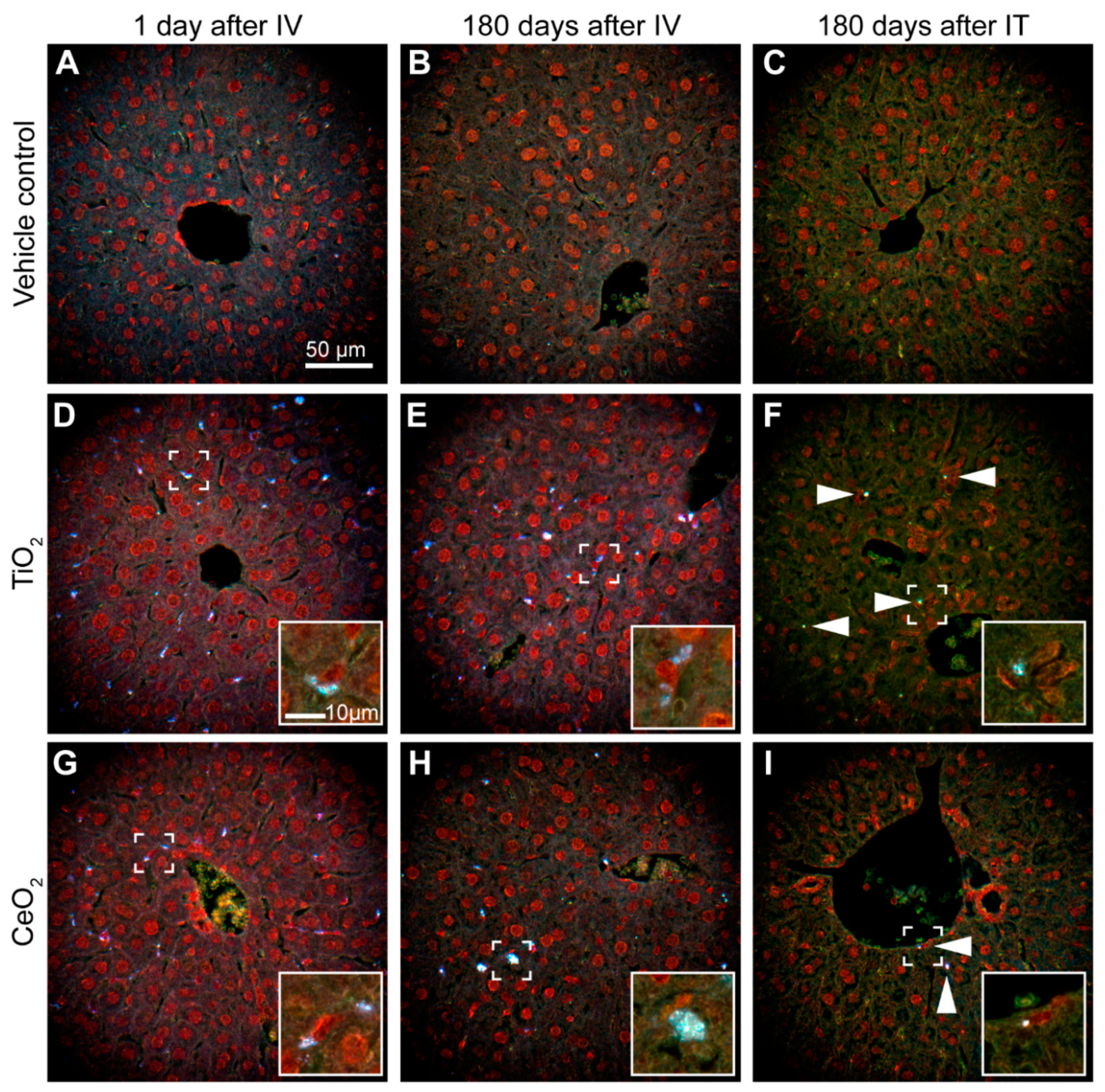 Applnano 02 00016 g001