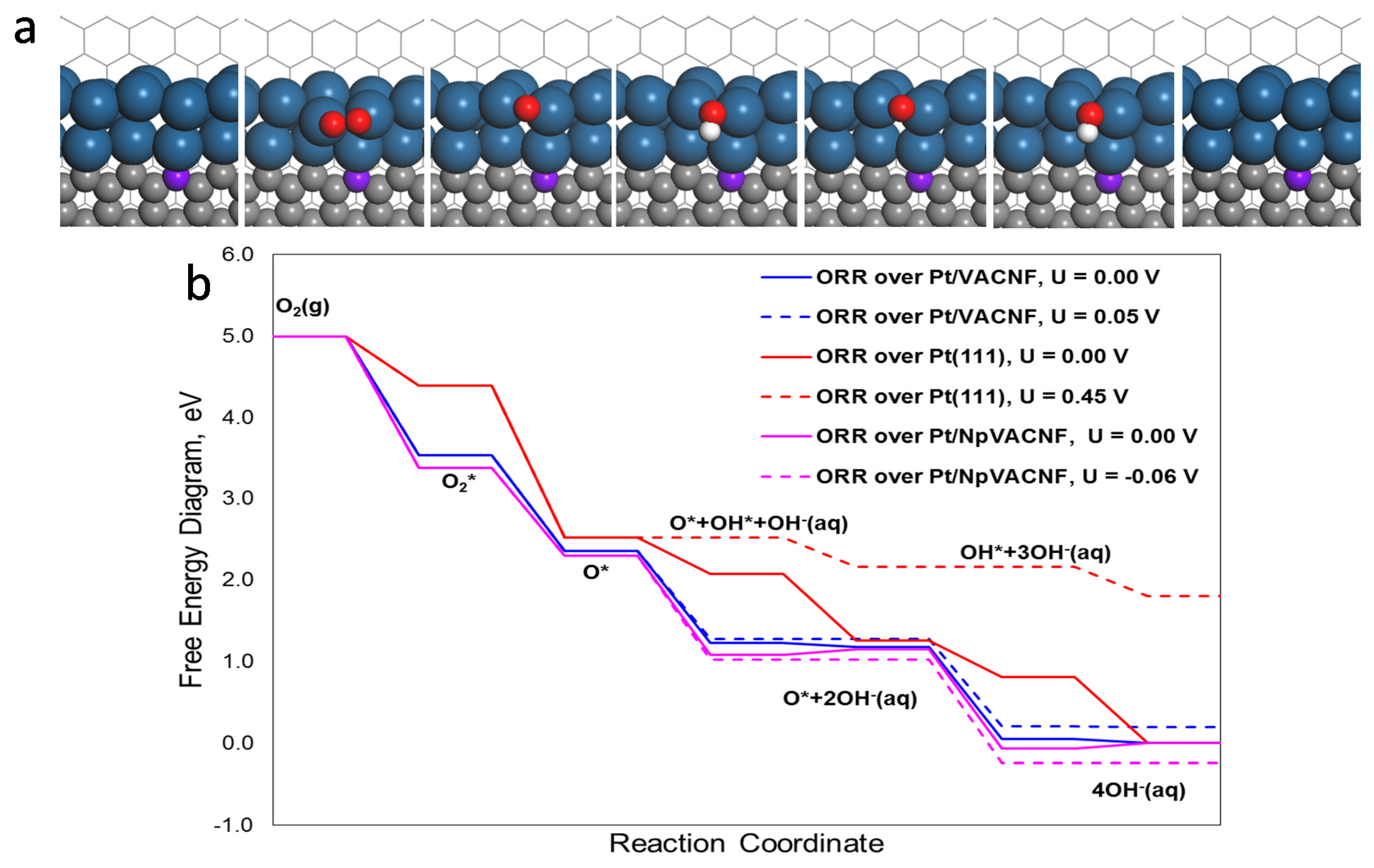 Applnano 02 00022 g005