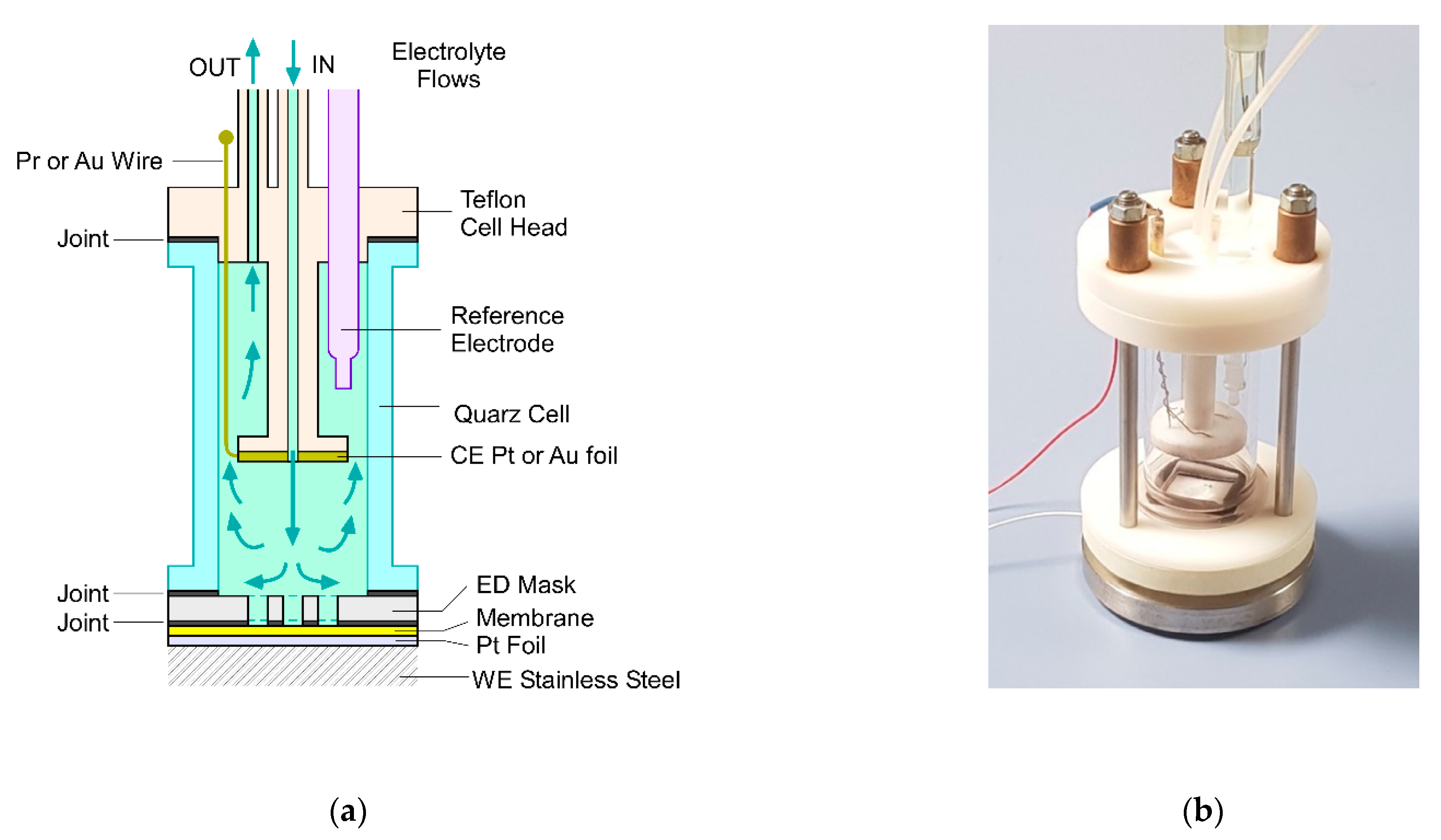 Applnano 02 00023 g001