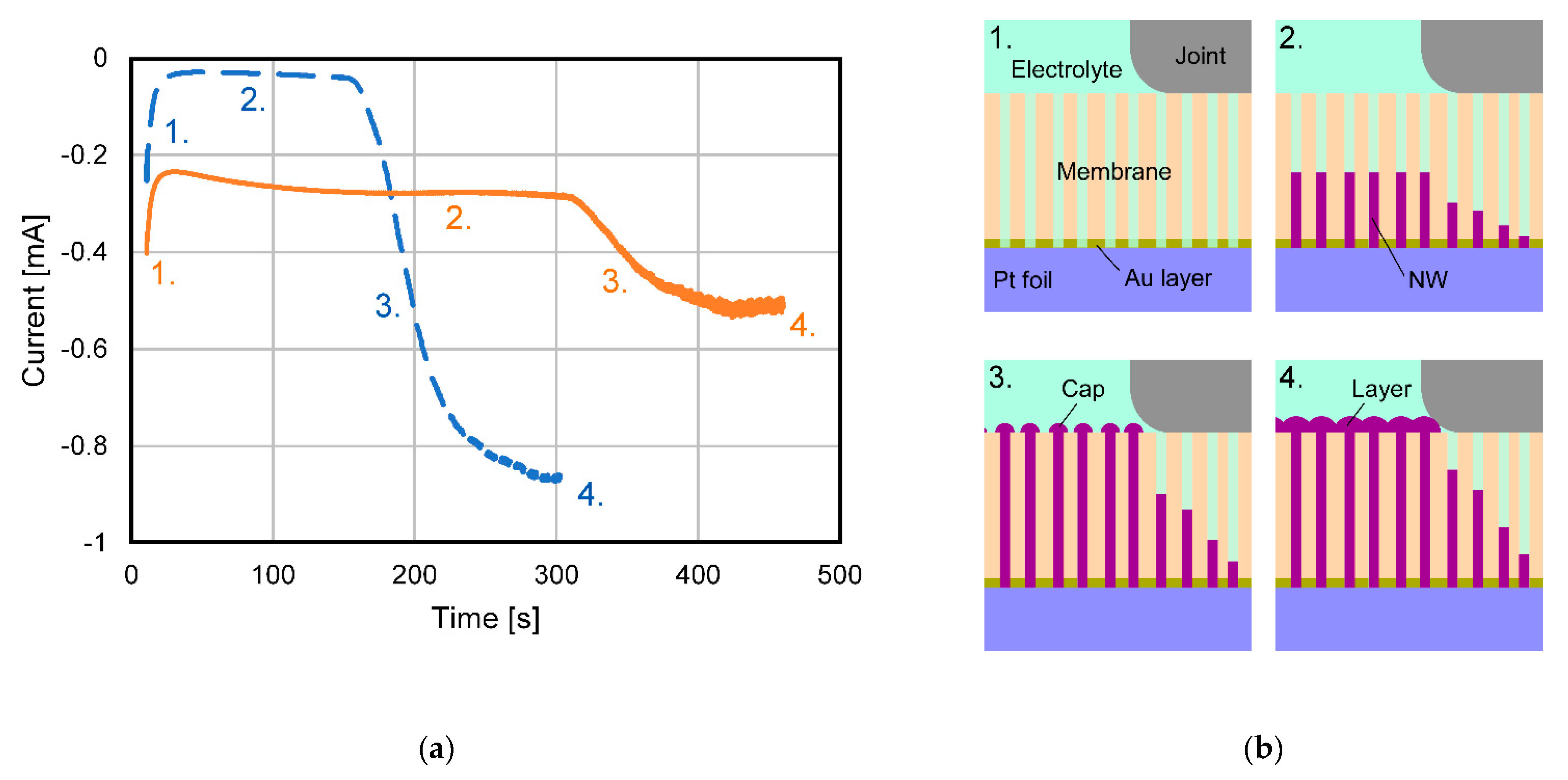 Applnano 02 00023 g002