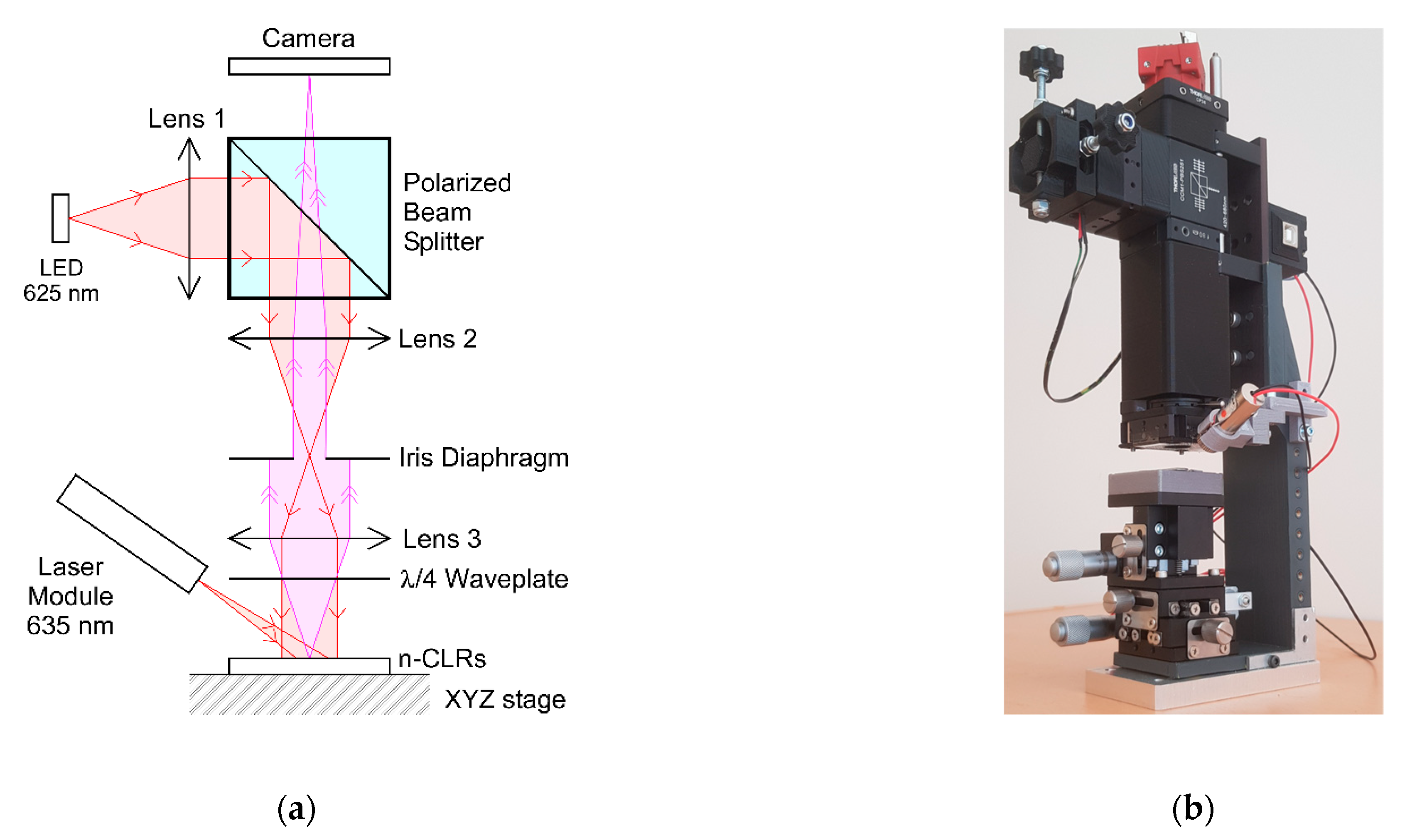 Applnano 02 00023 g003