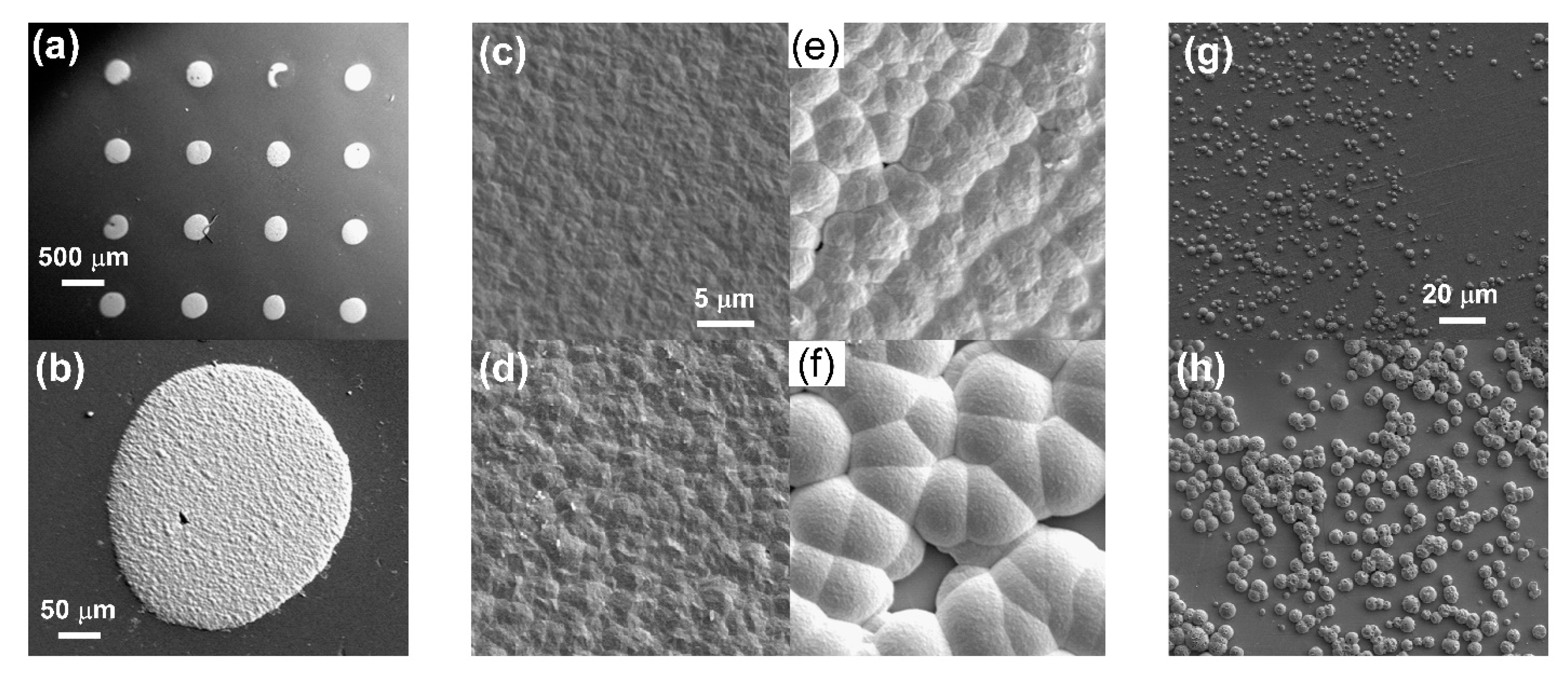 Applnano 02 00023 g004