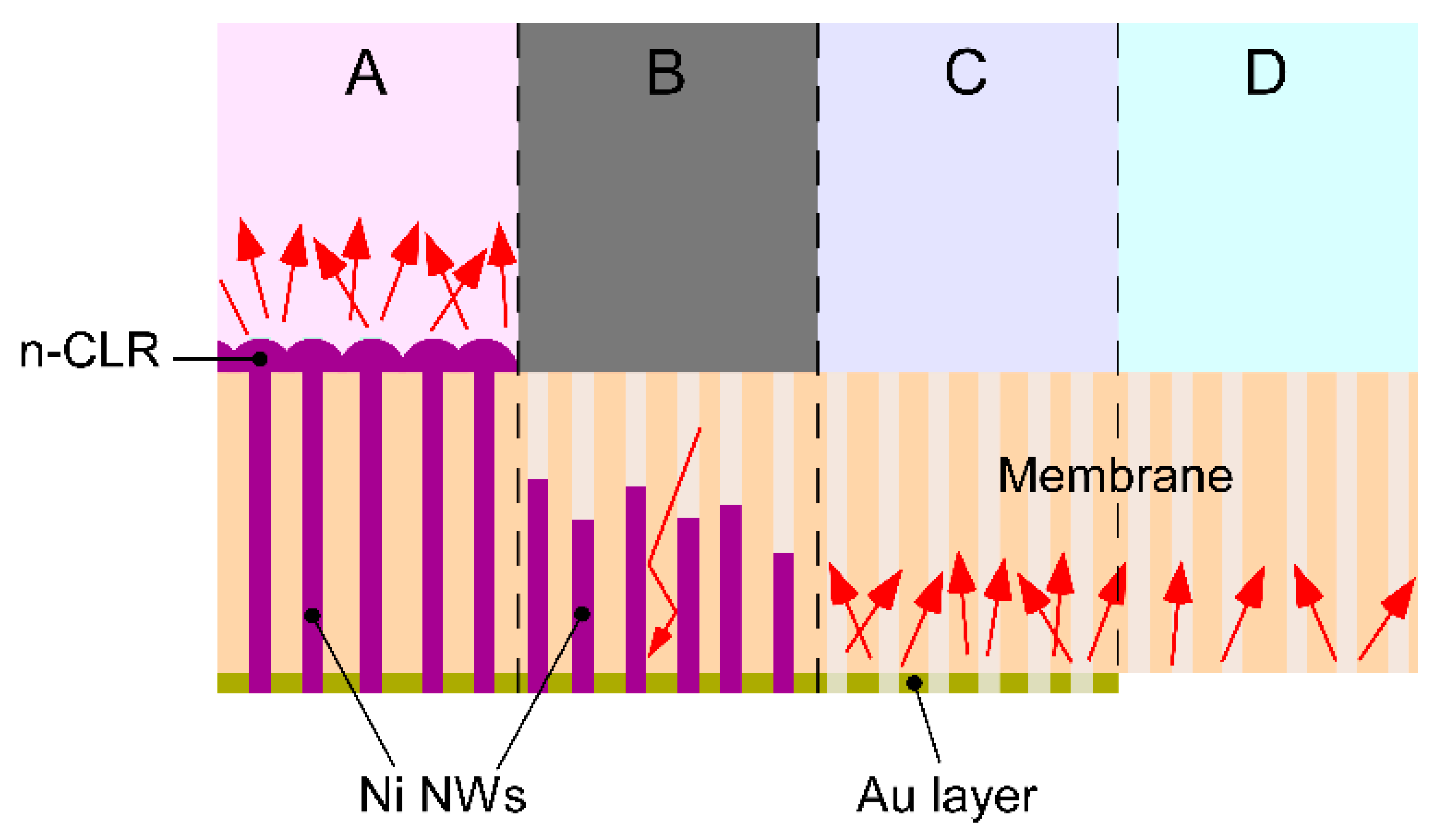 Applnano 02 00023 g008