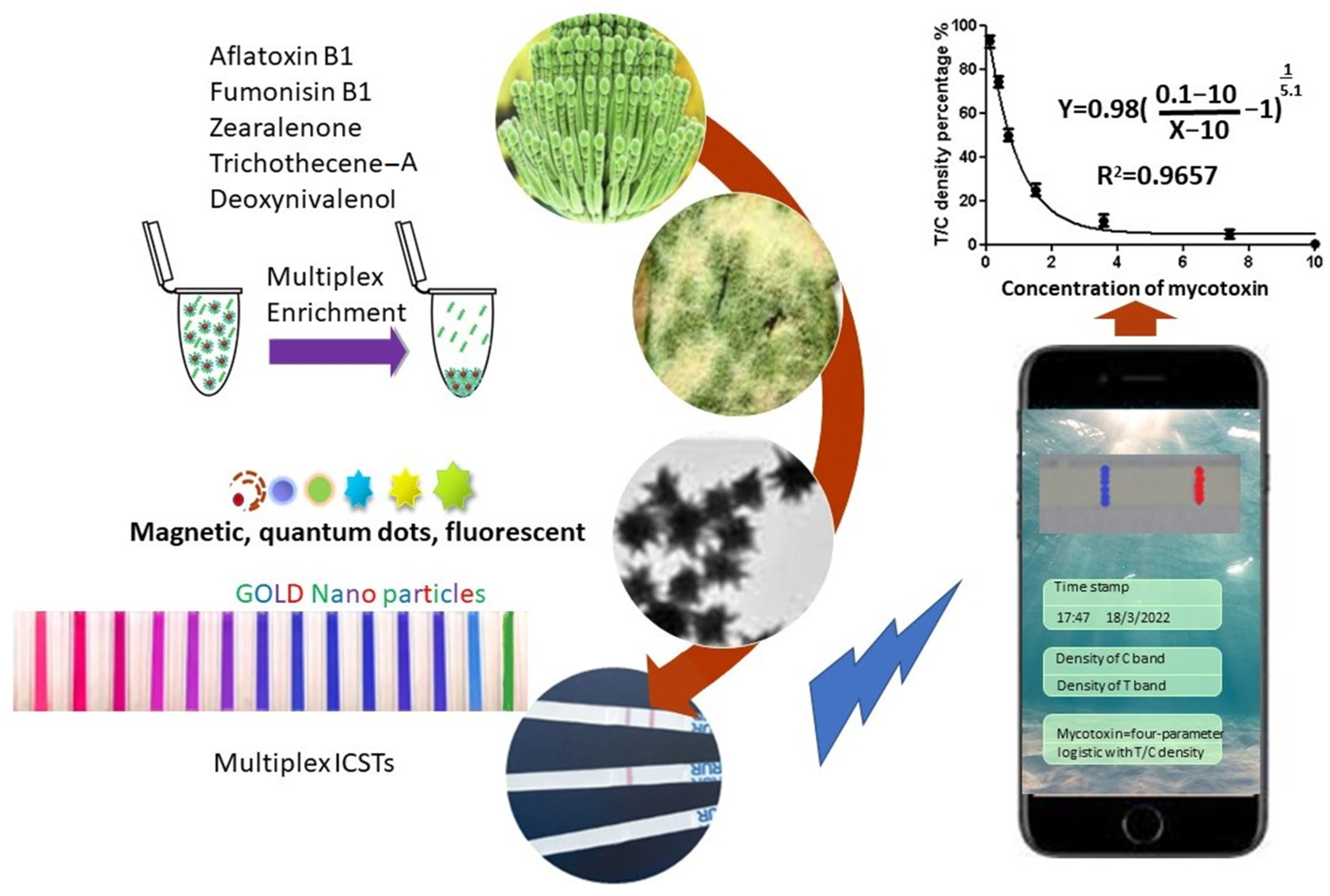 Applnano 03 00006 g006