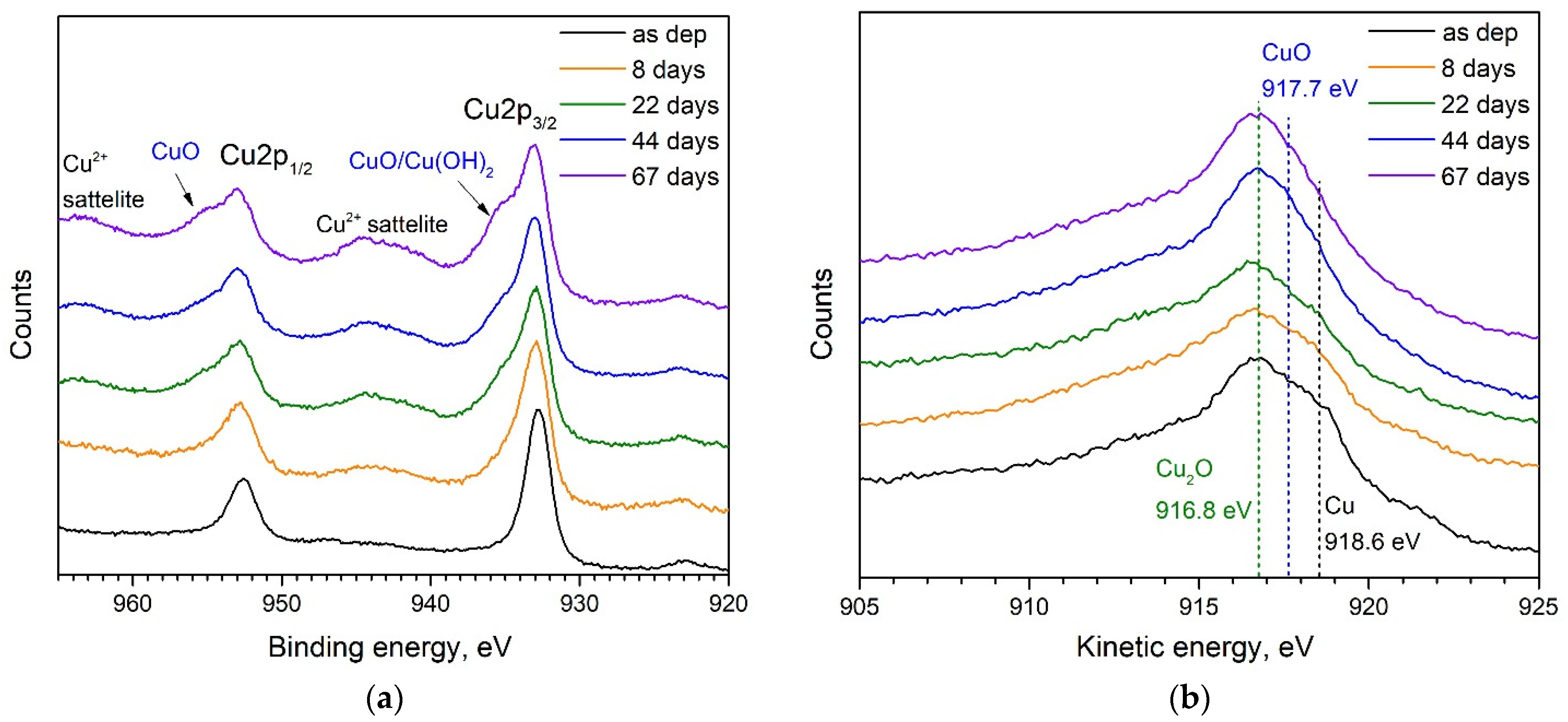 Applnano 03 00007 g003