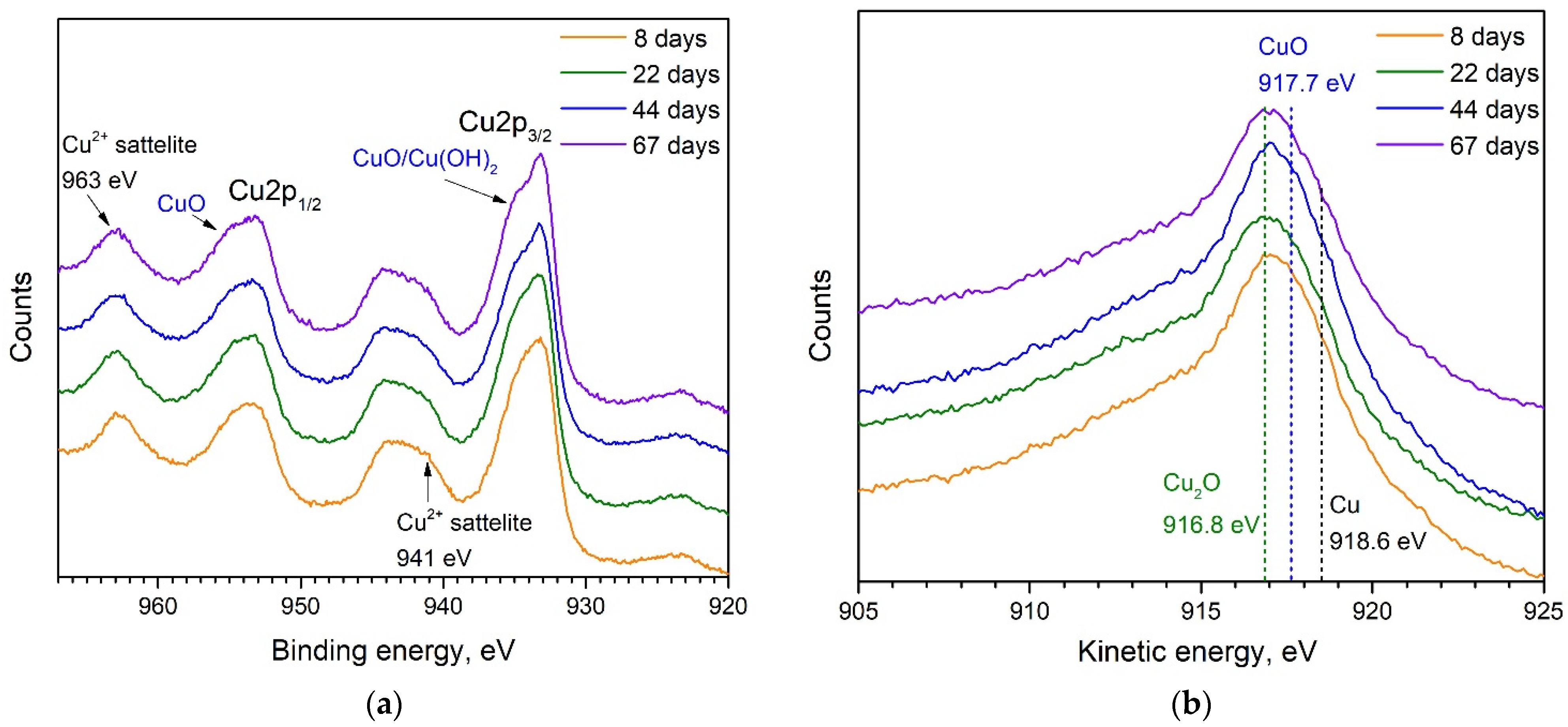 Applnano 03 00007 g004