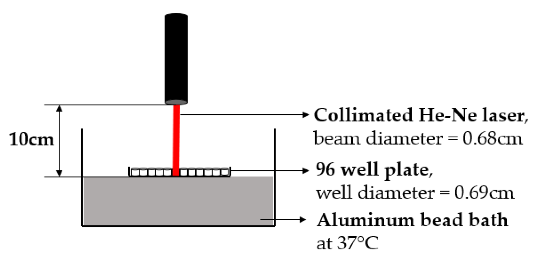 Applnano 03 00008 g003