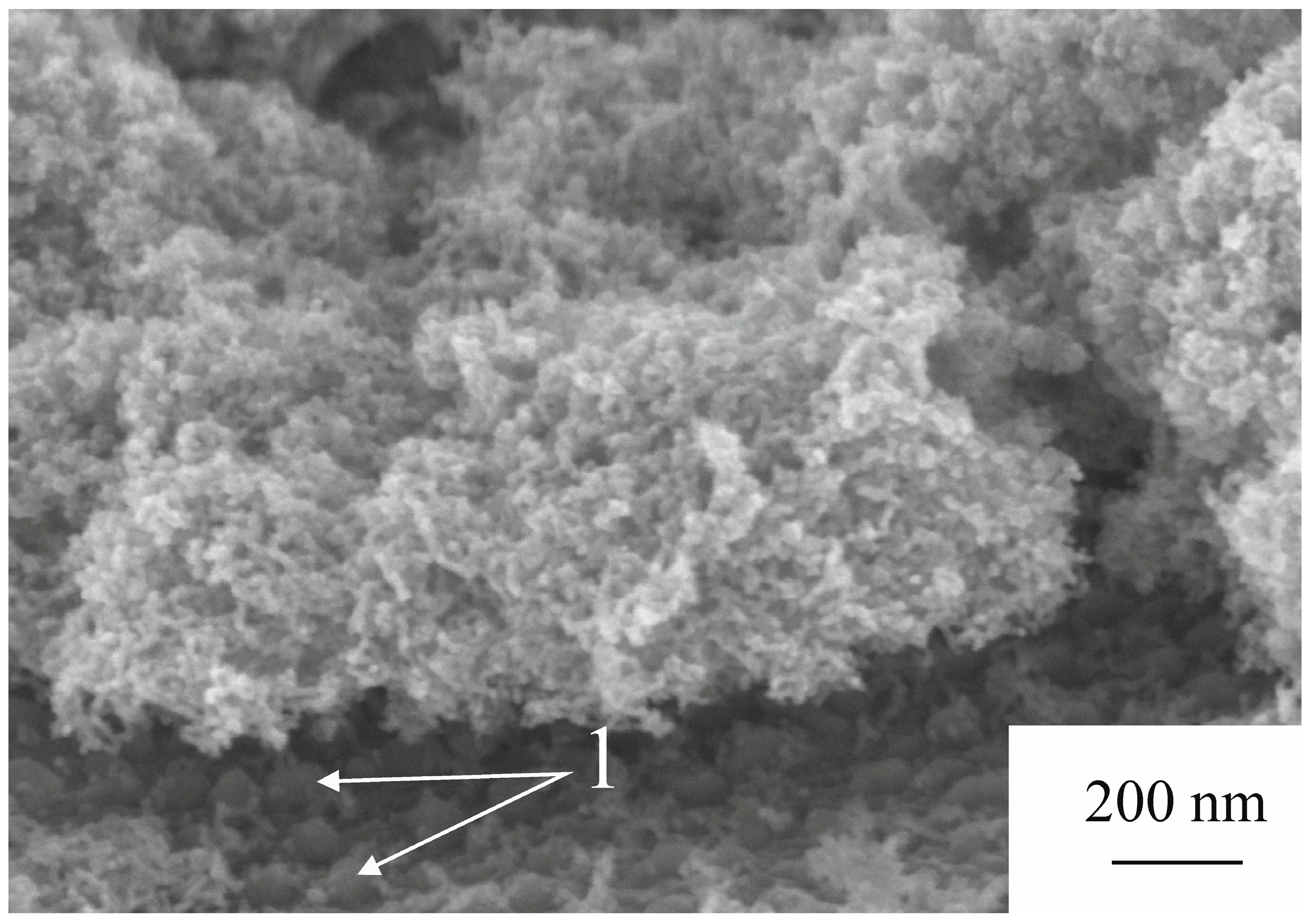 Applnano 04 00010 g005