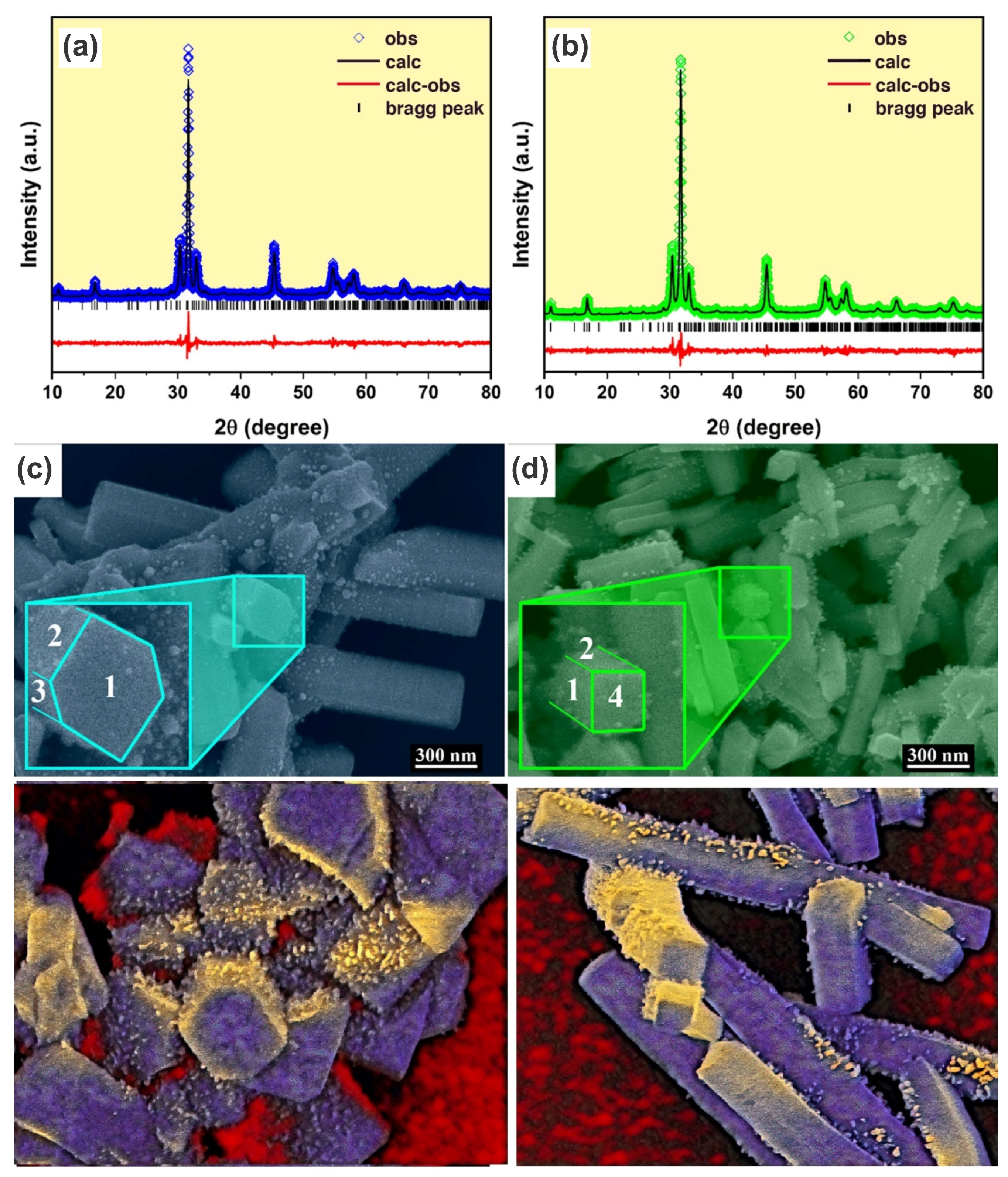 Applnano 04 00012 g001