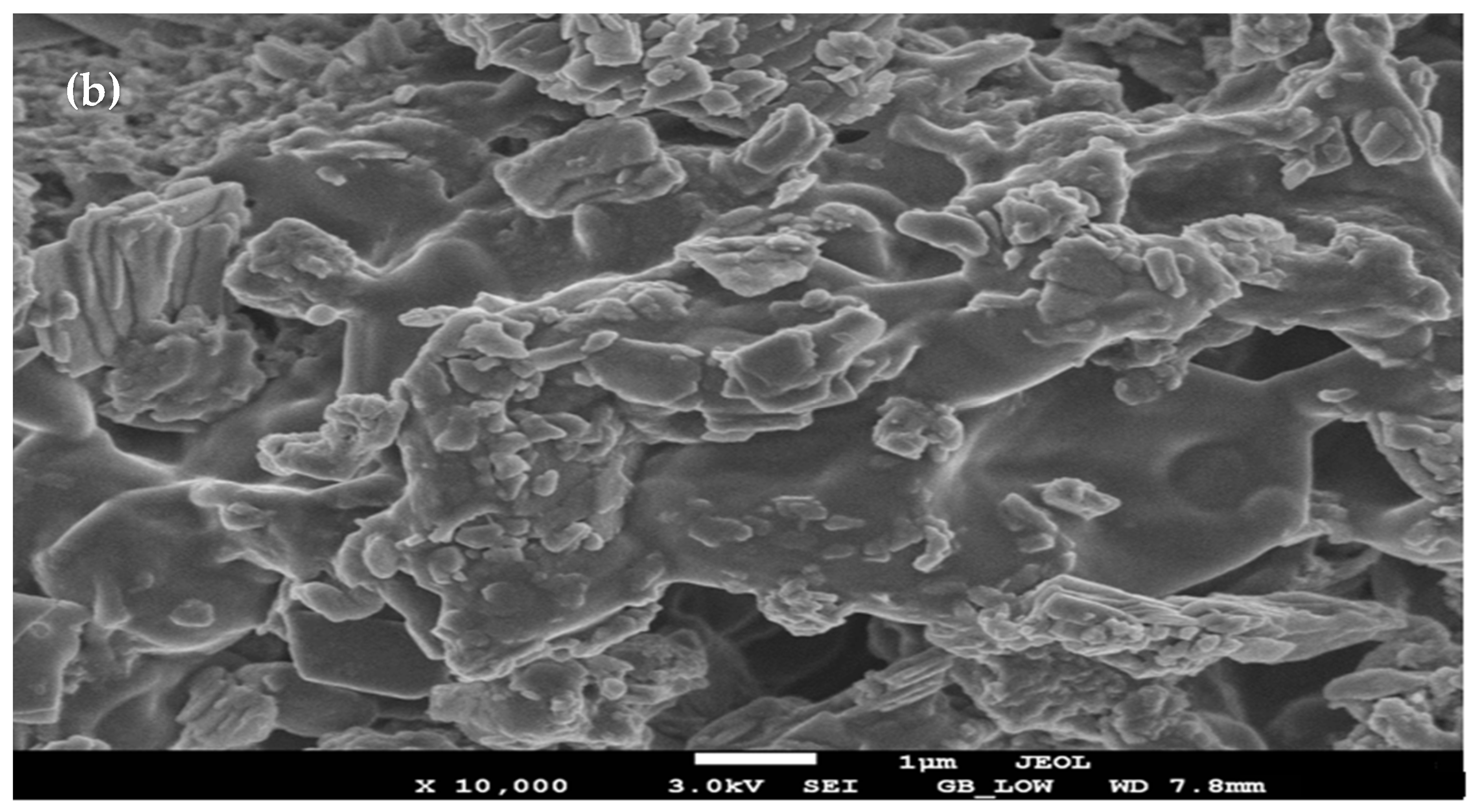 Applnano 04 00013 g006b