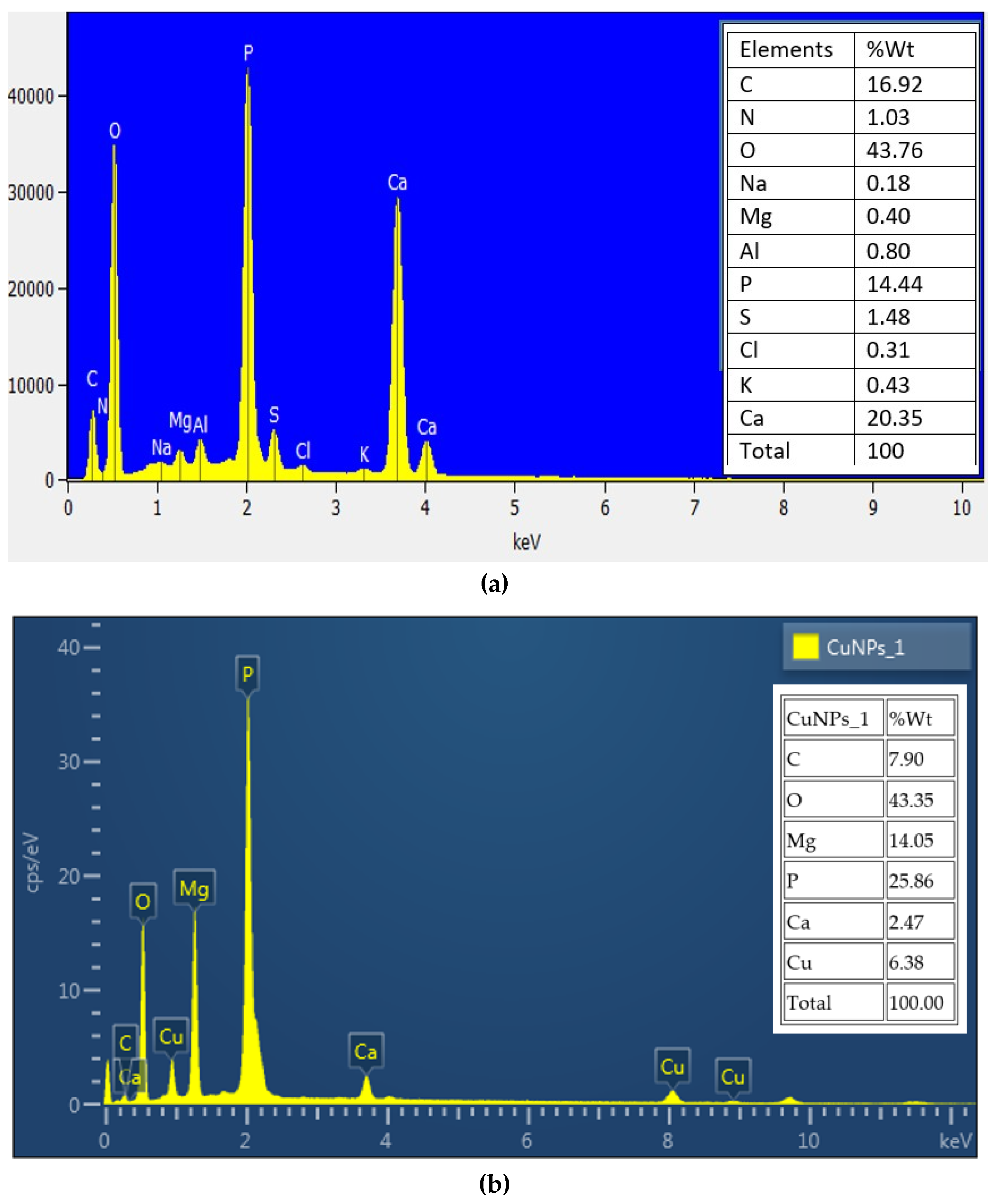 Applnano 04 00013 g007