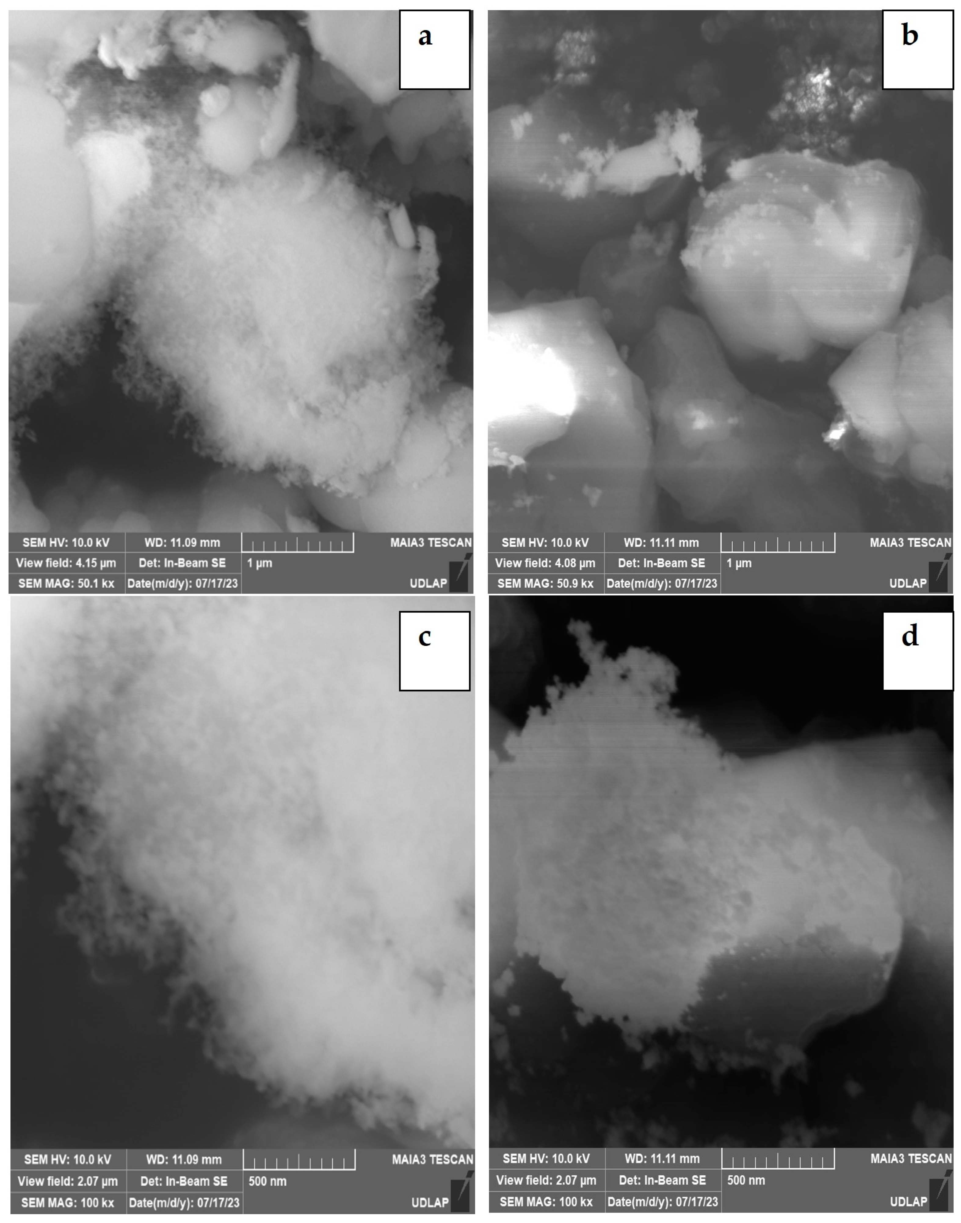 Applnano 05 00006 g006