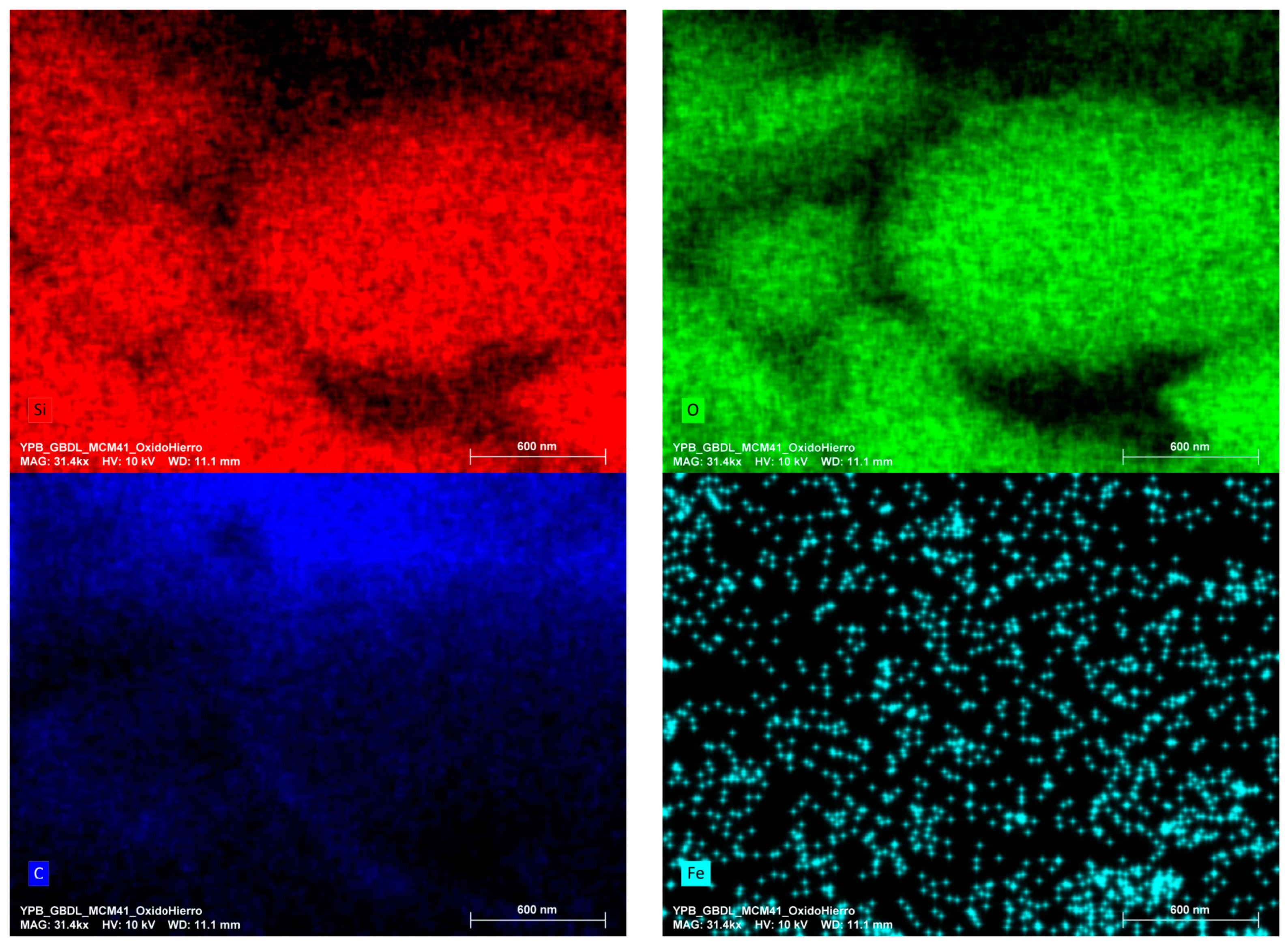 Applnano 05 00006 g007