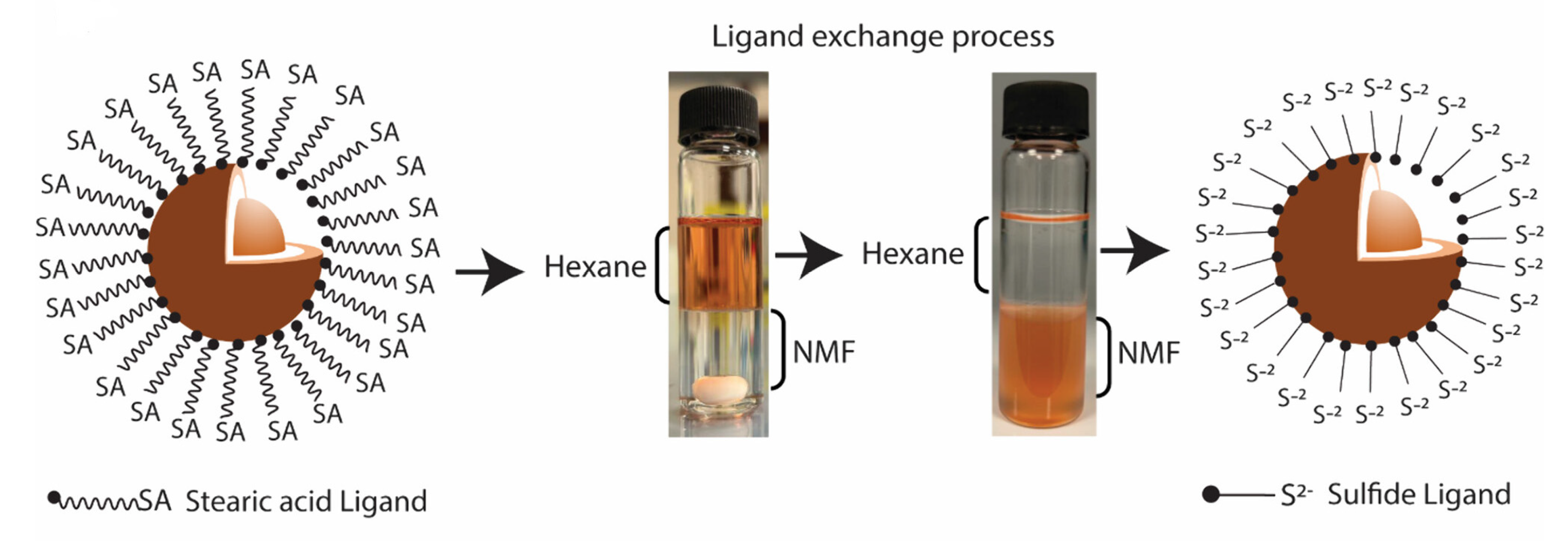 Applnano 05 00010 g007 Applnano 05 00010 g007