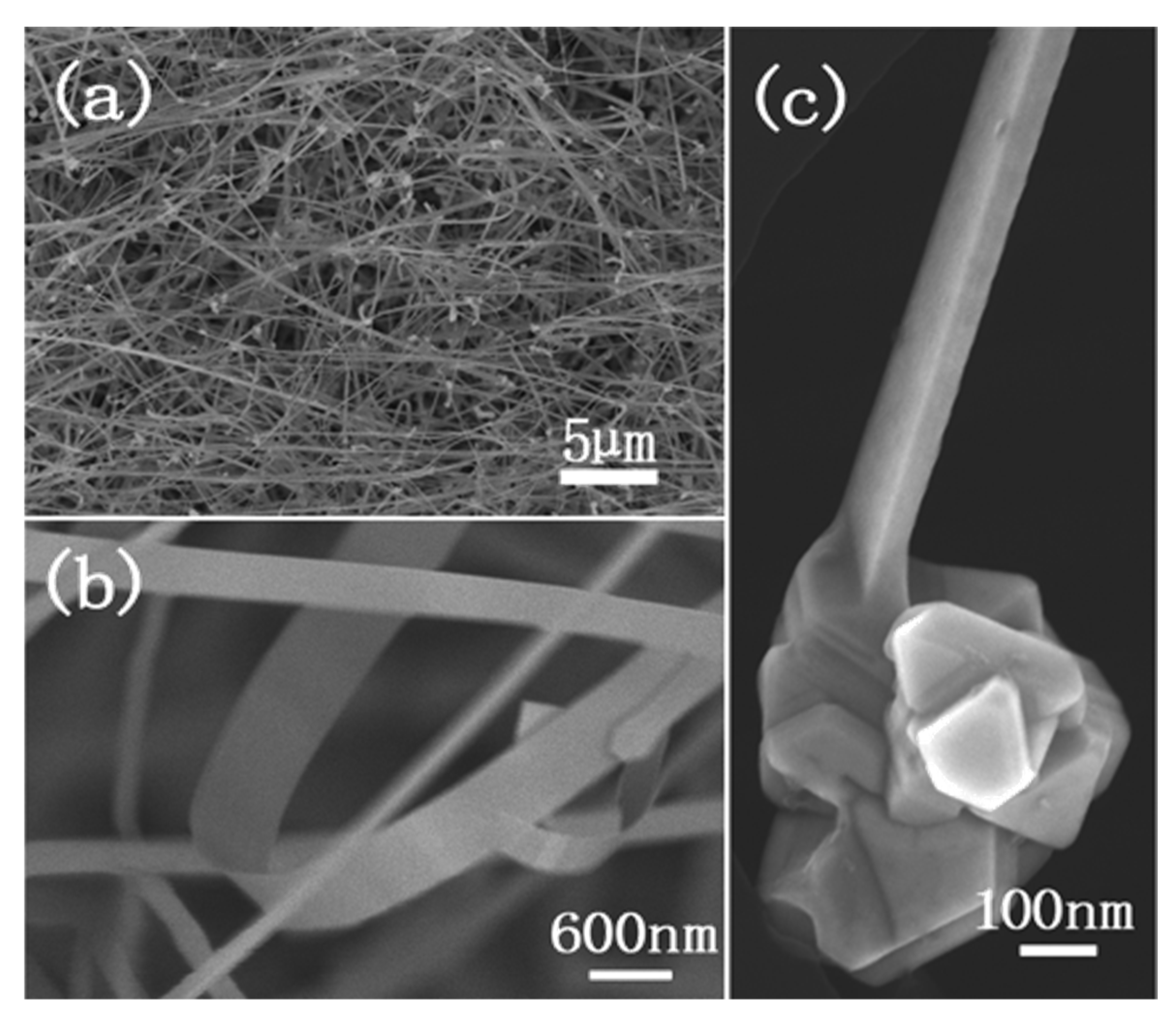 Applnano 05 00010 g009 Applnano 05 00010 g009