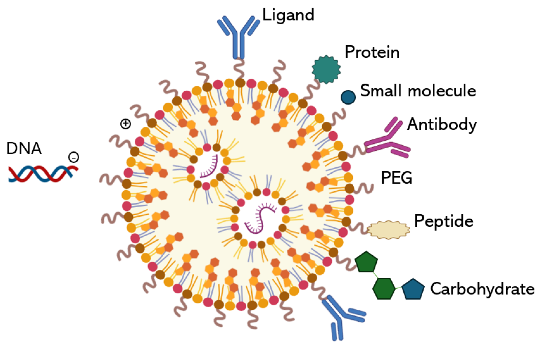 Applnano 05 00011 g005 Applnano 05 00011 g005