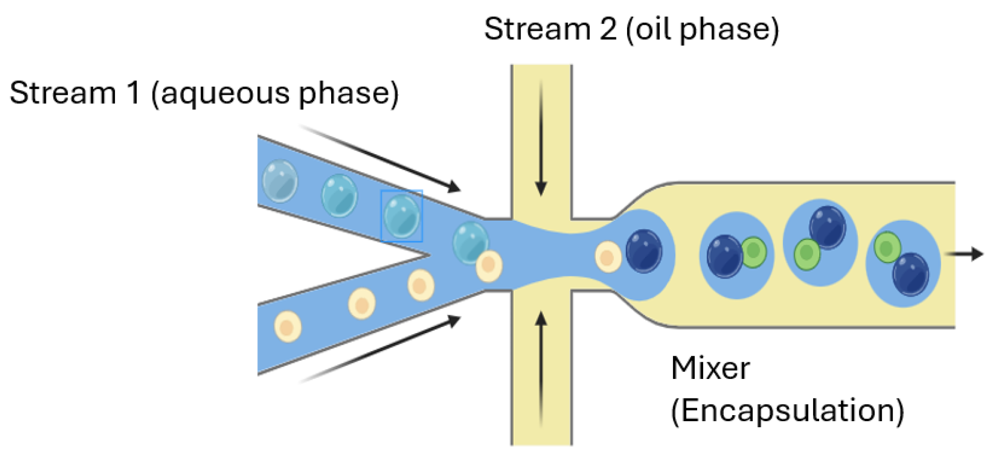 Applnano 05 00011 g007 Applnano 05 00011 g007
