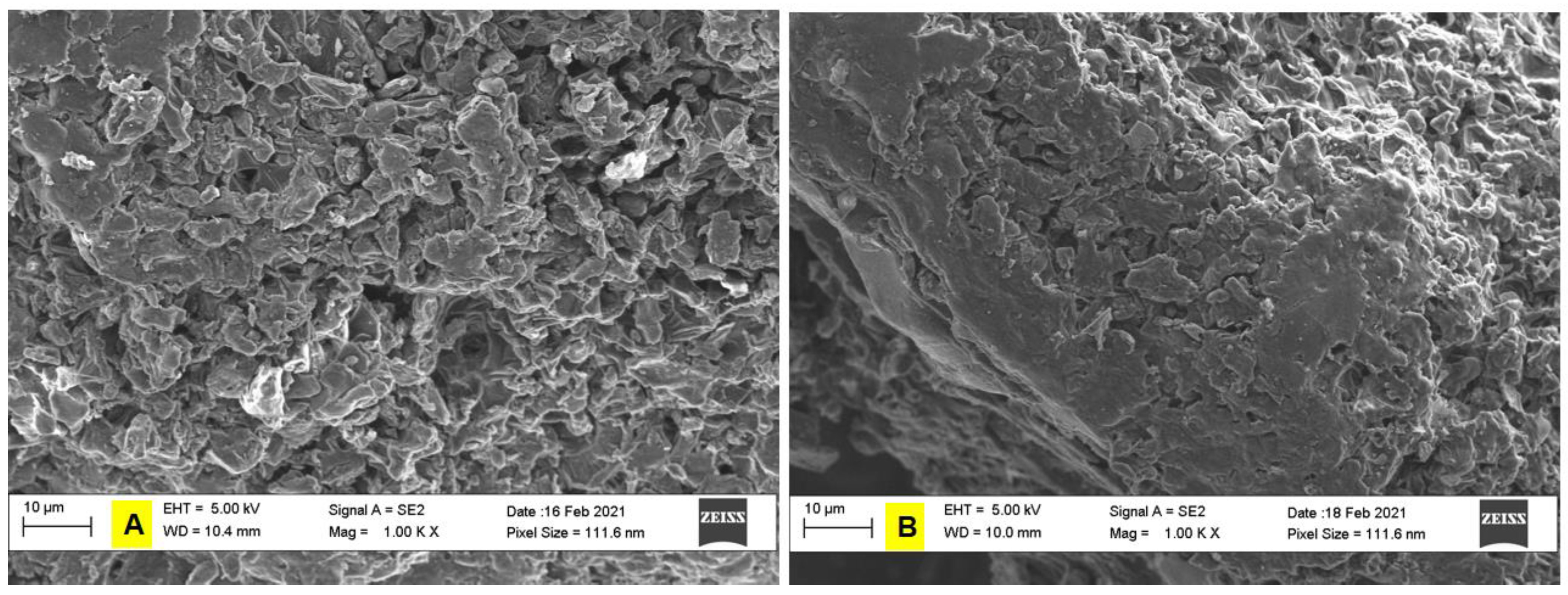 Applnano 05 00013 g002