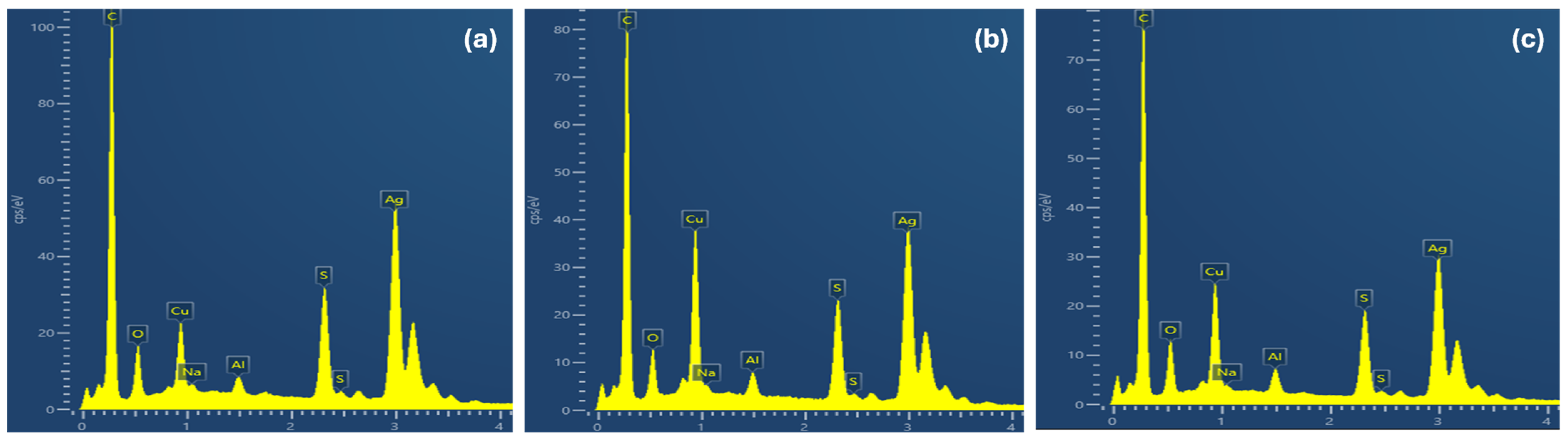 Applnano 05 00015 g004