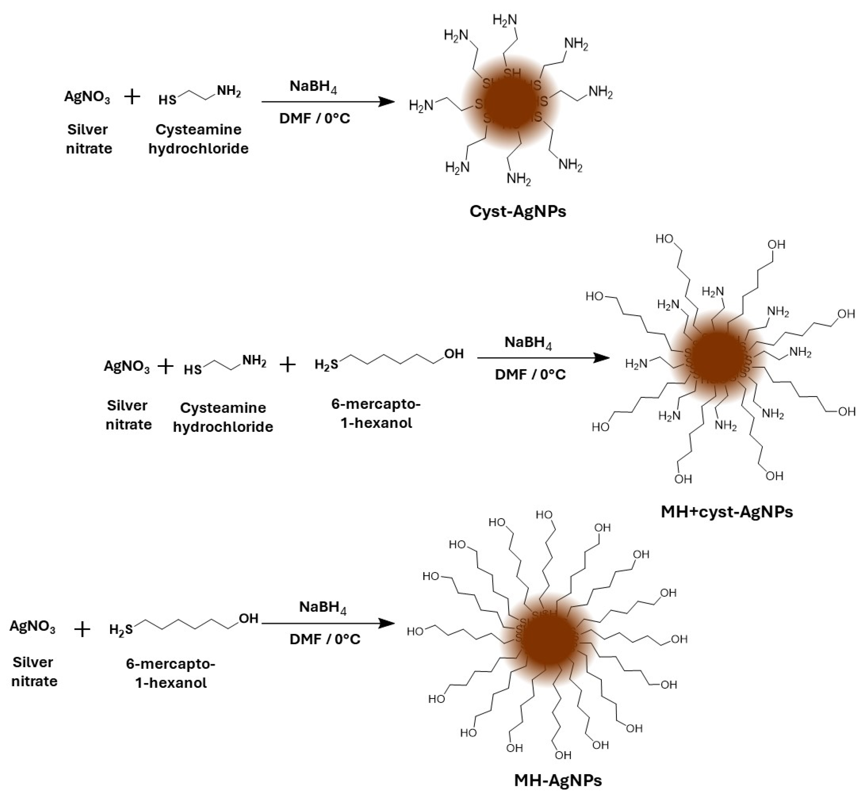 Applnano 05 00015 sch001