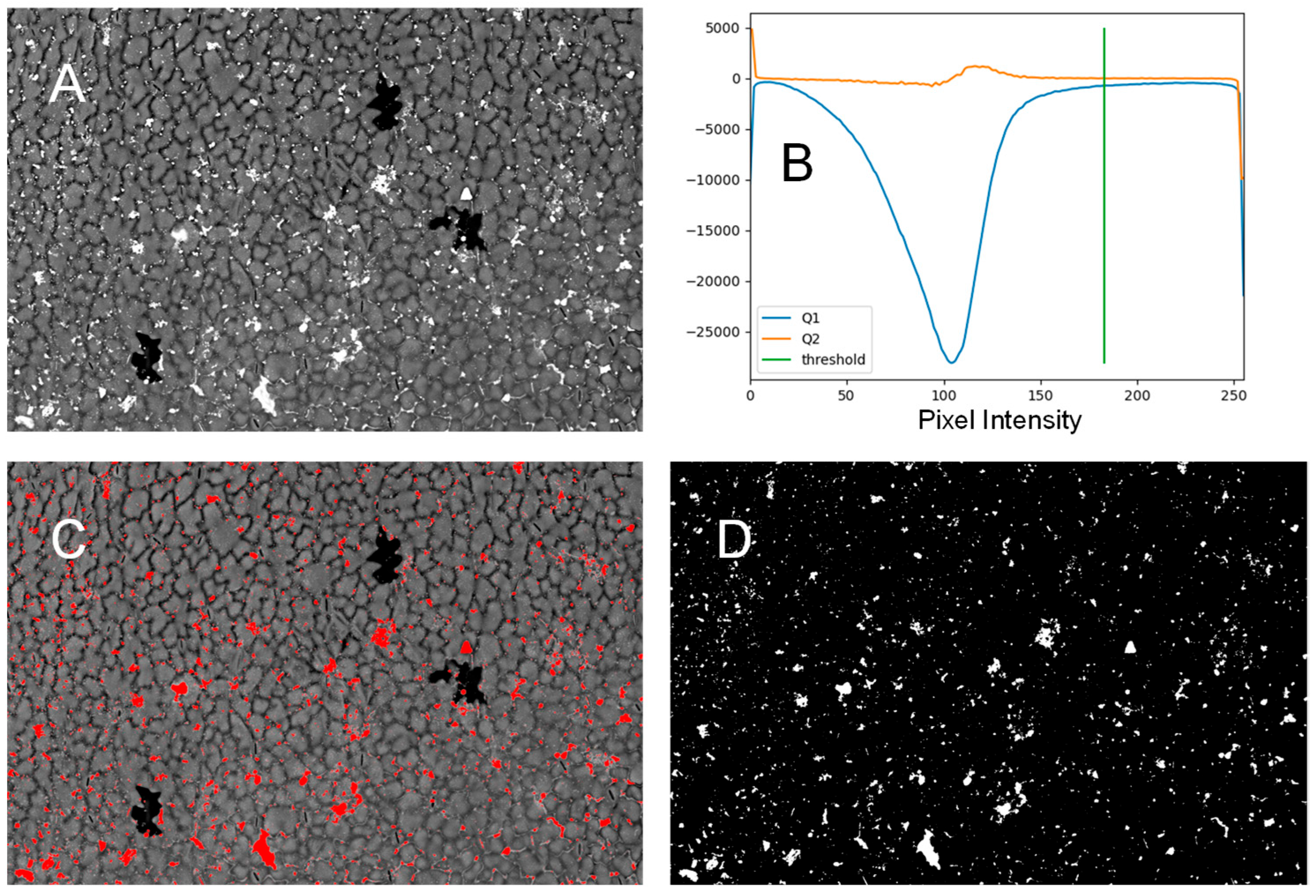 Applnano 05 00019 g003