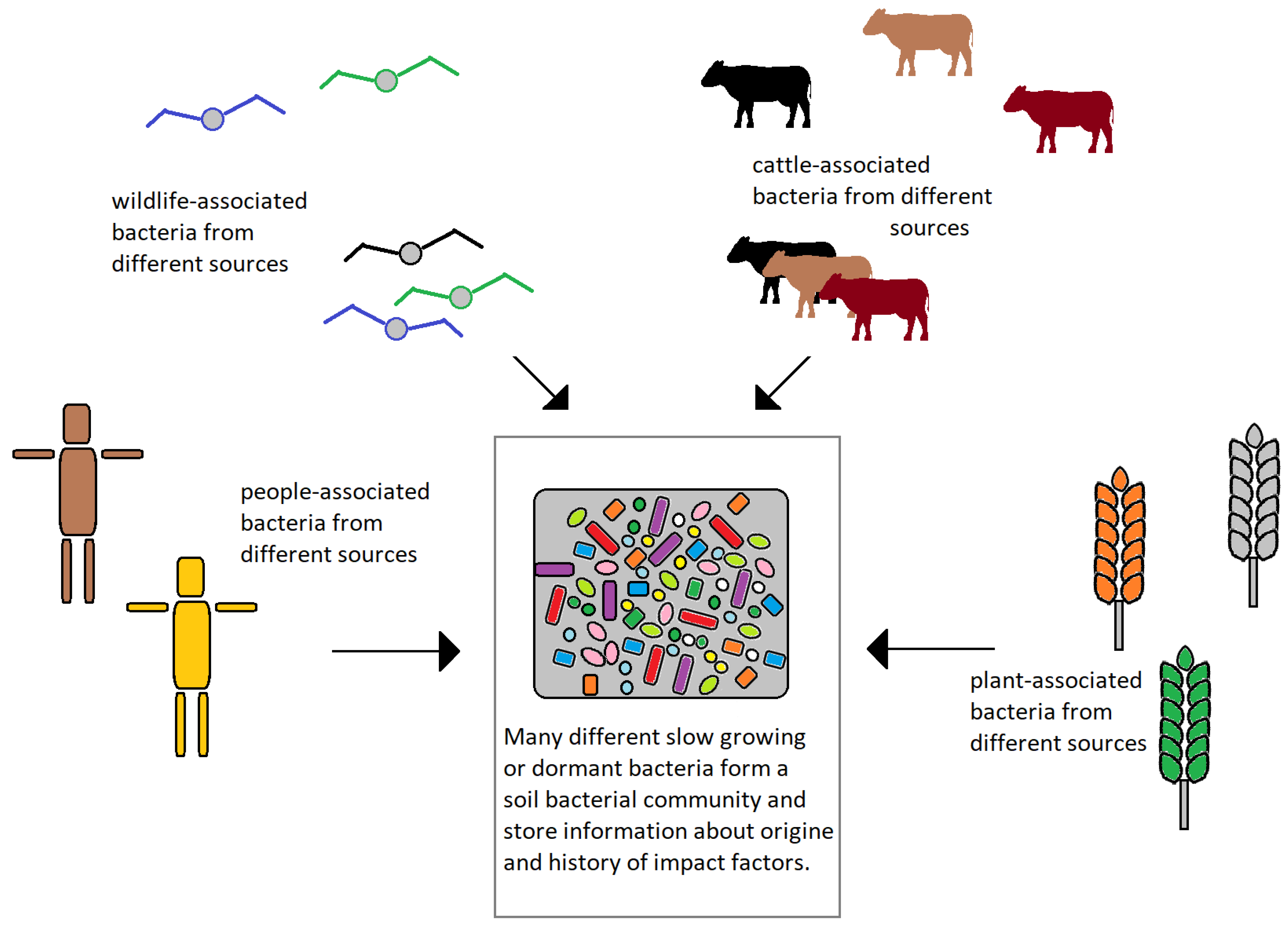 Applnano 06 00002 g001