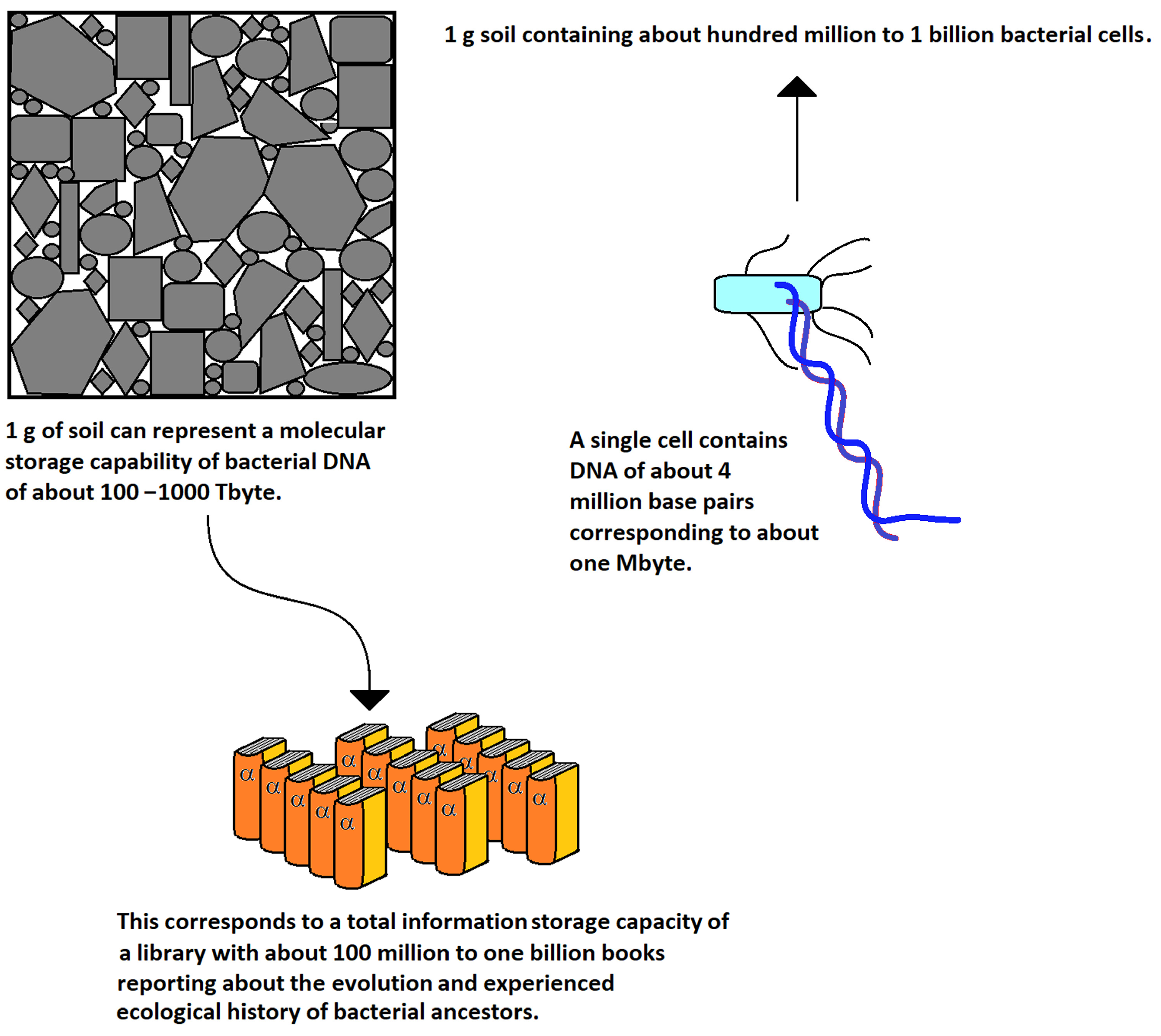 Applnano 06 00002 g003