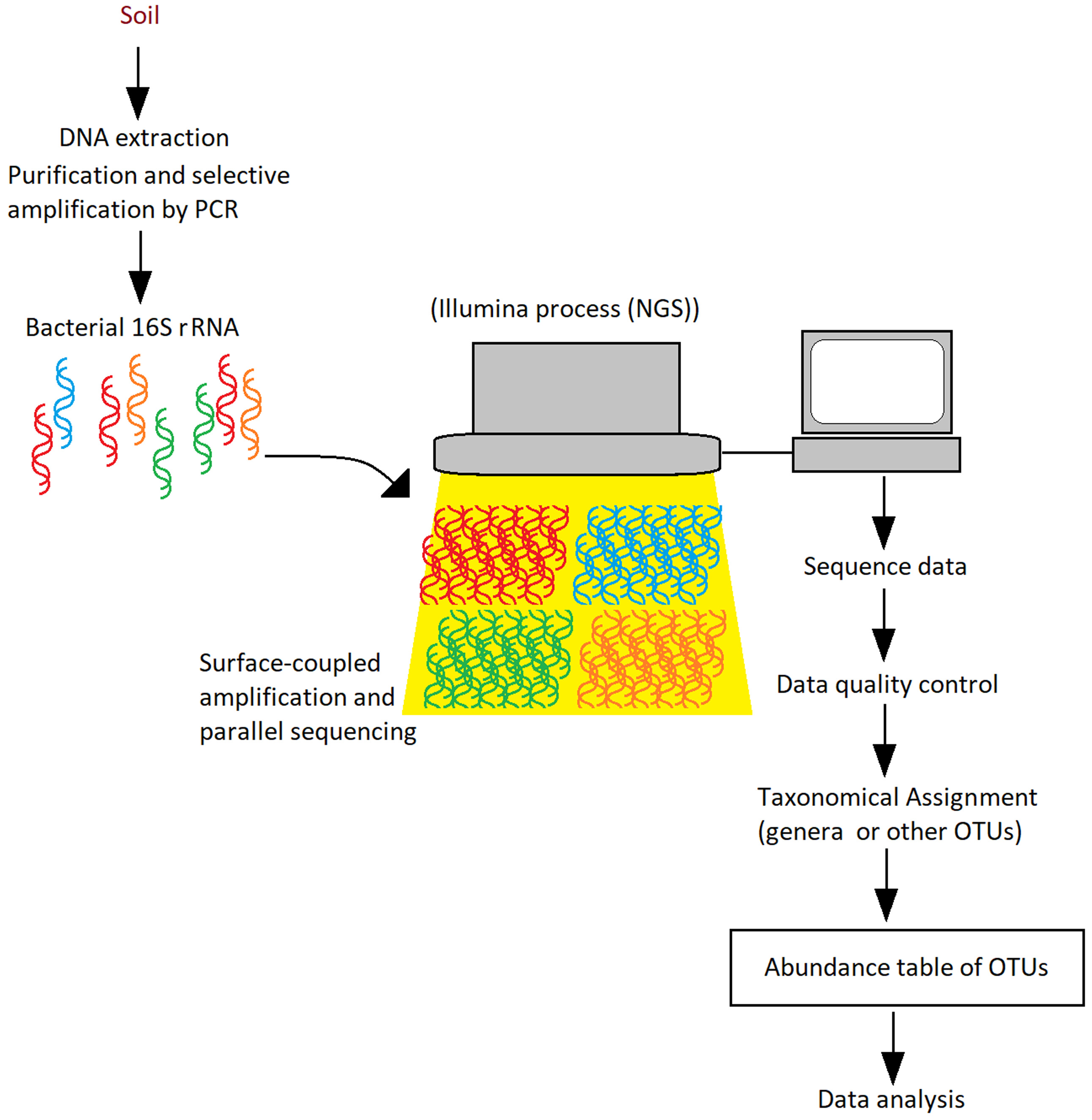 Applnano 06 00002 g004