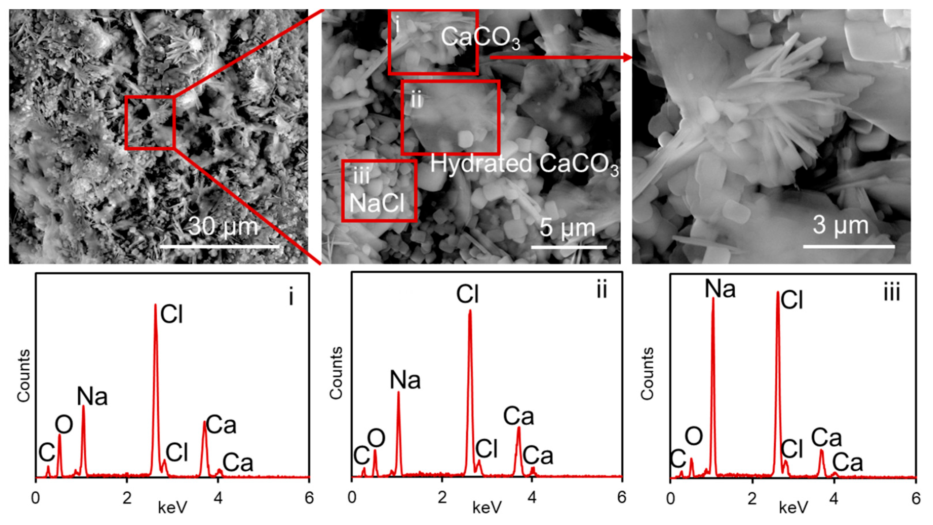 Applnano 06 00008 g007