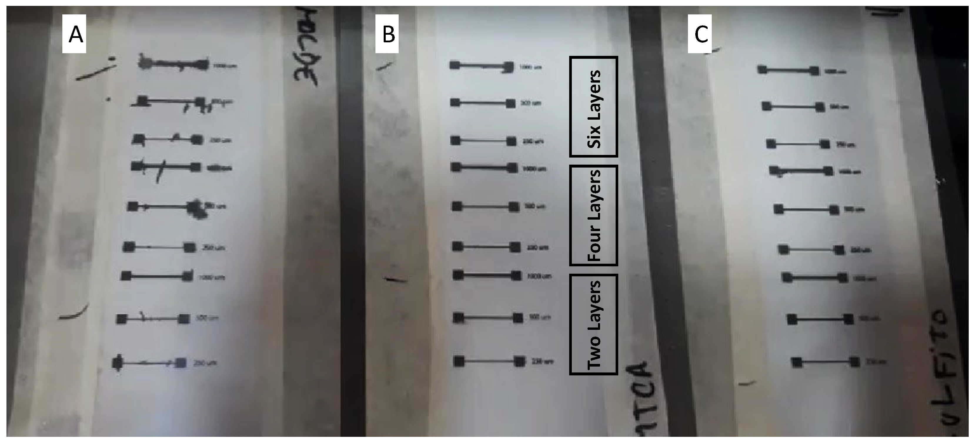 Applnano 06 00010 g002