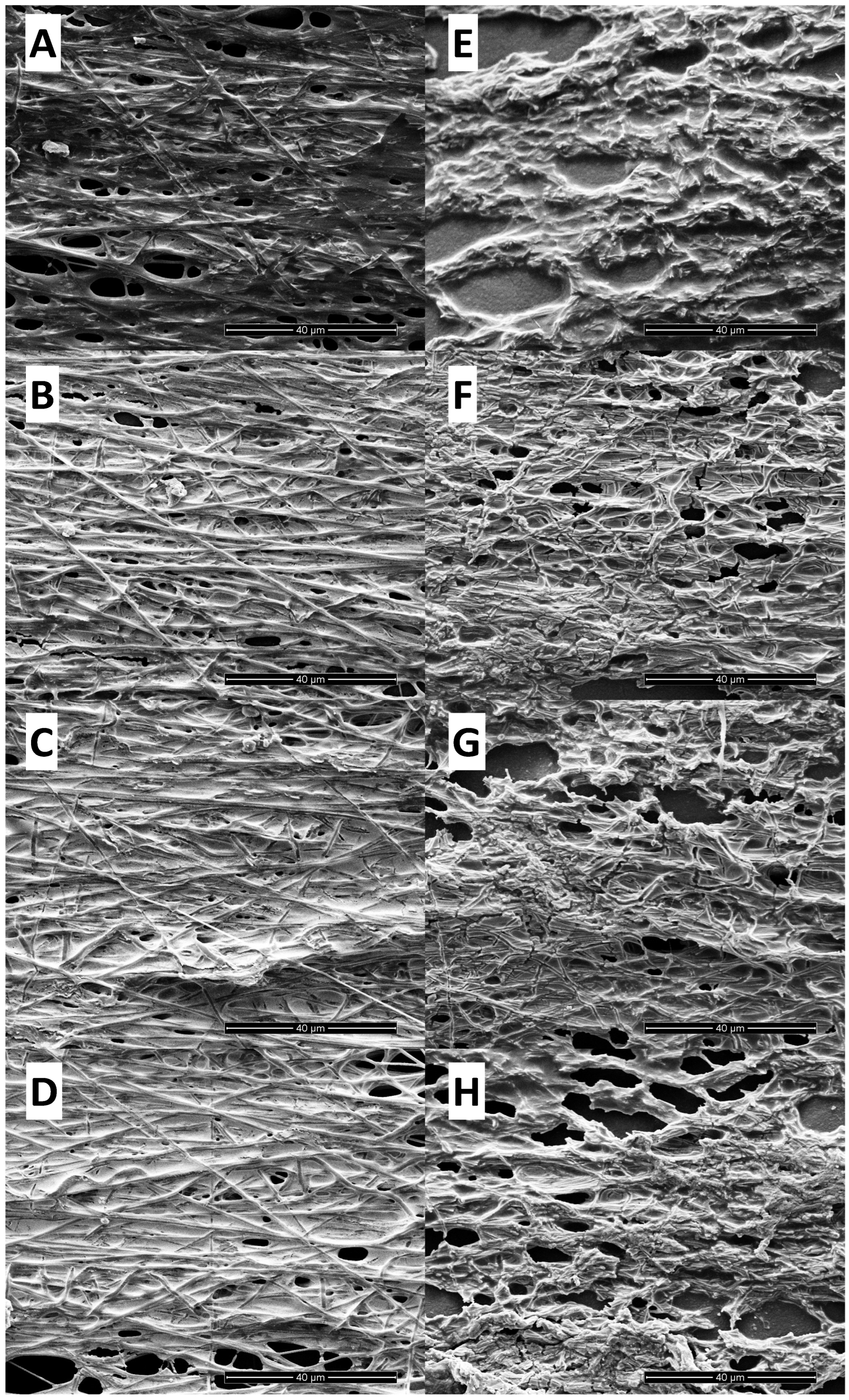 Applnano 06 00010 g006