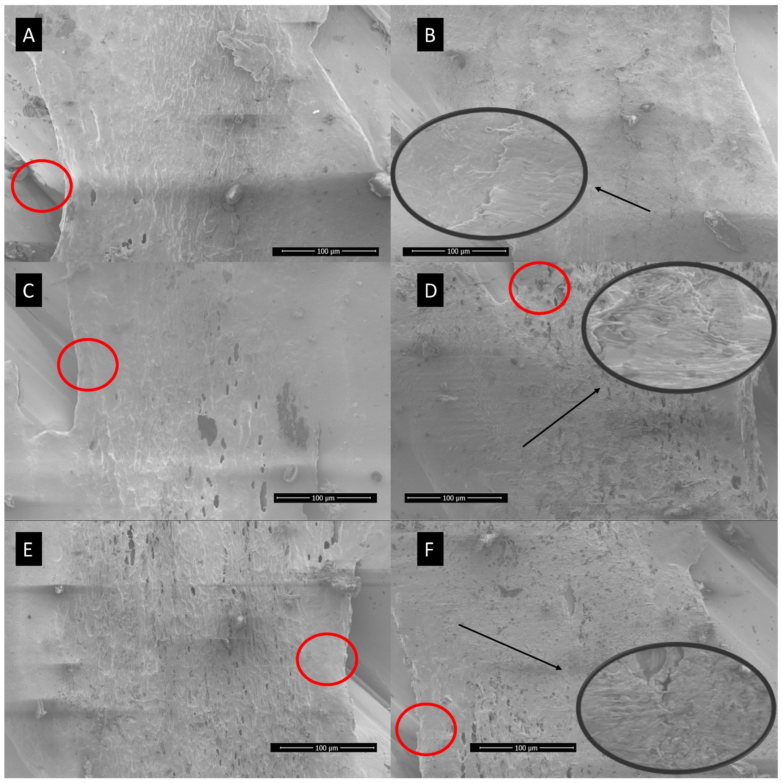 Applnano 06 00010 g009