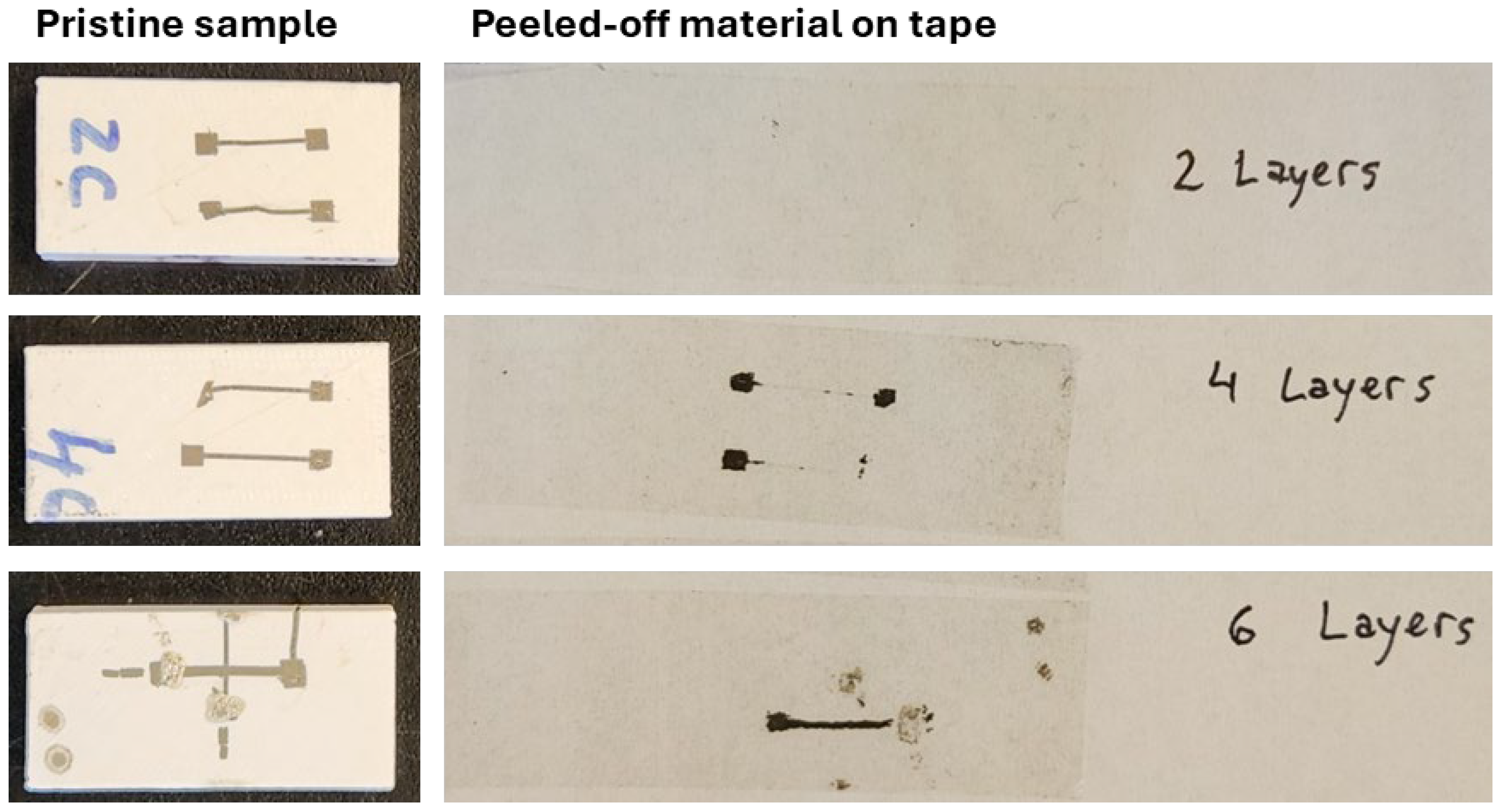 Applnano 06 00010 g011