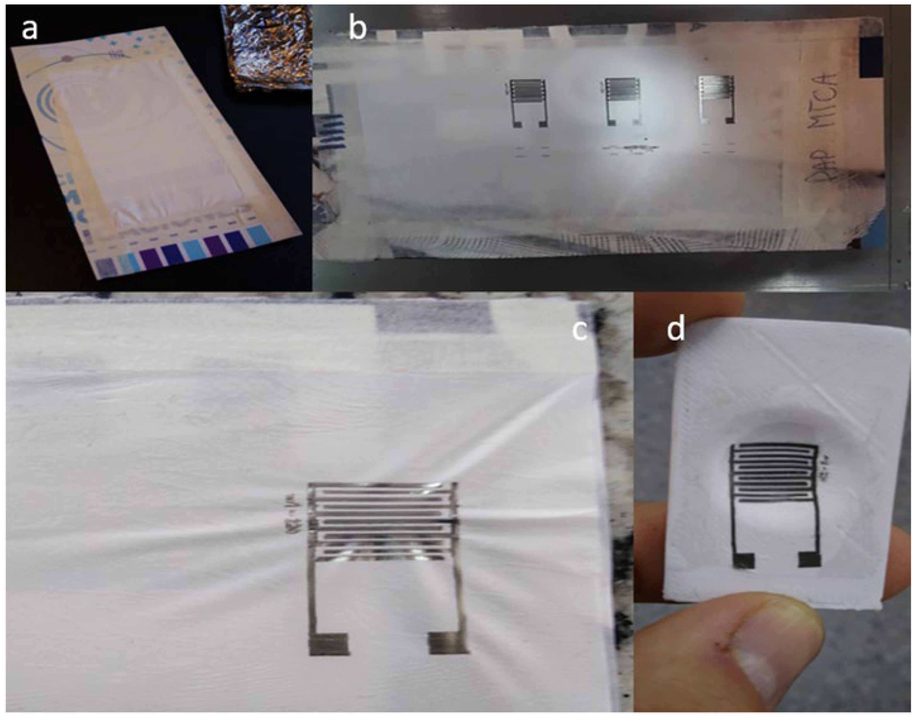 Applnano 06 00010 g013