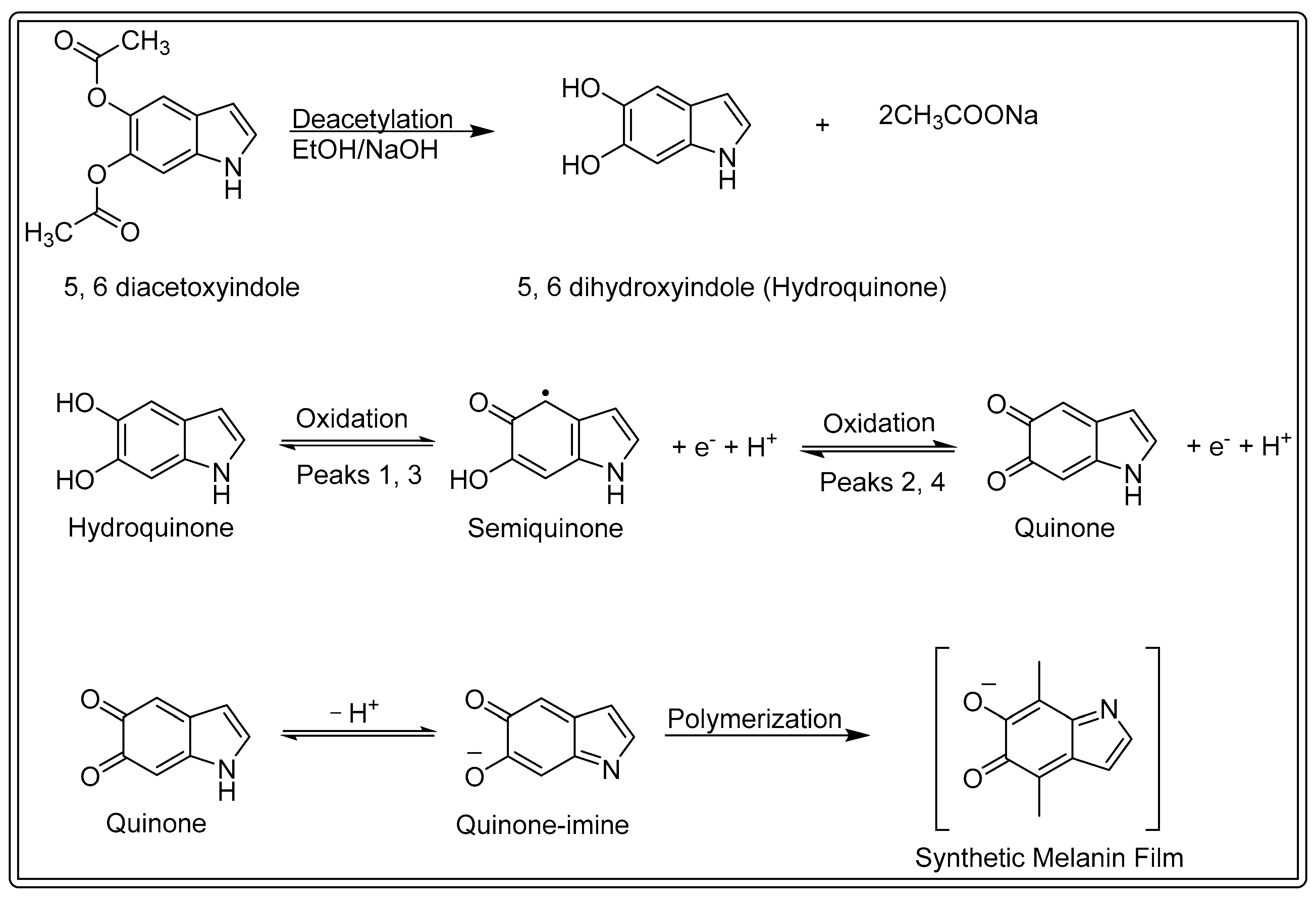 Applnano 06 00011 sch001