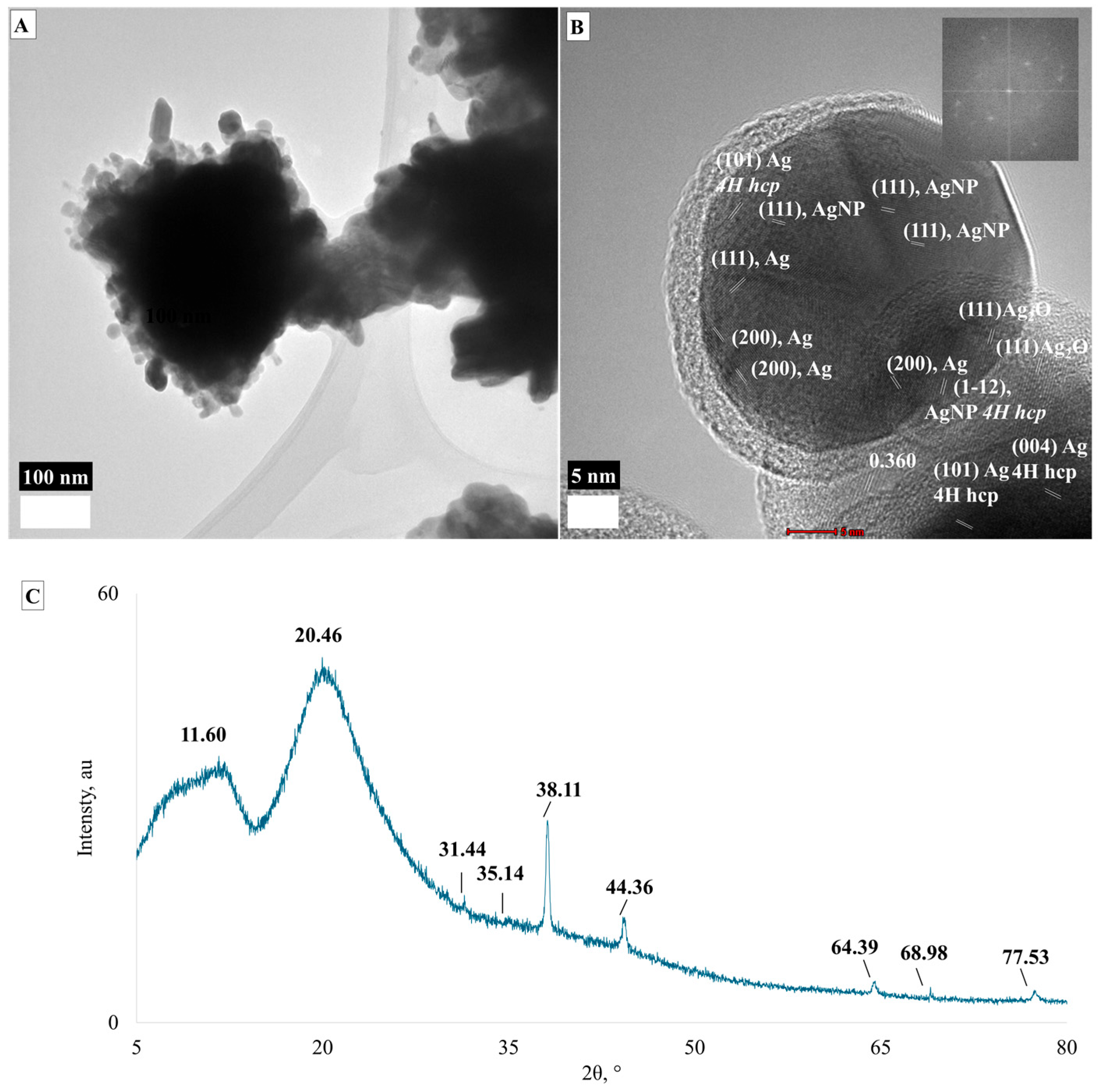 Applnano 06 00014 g002