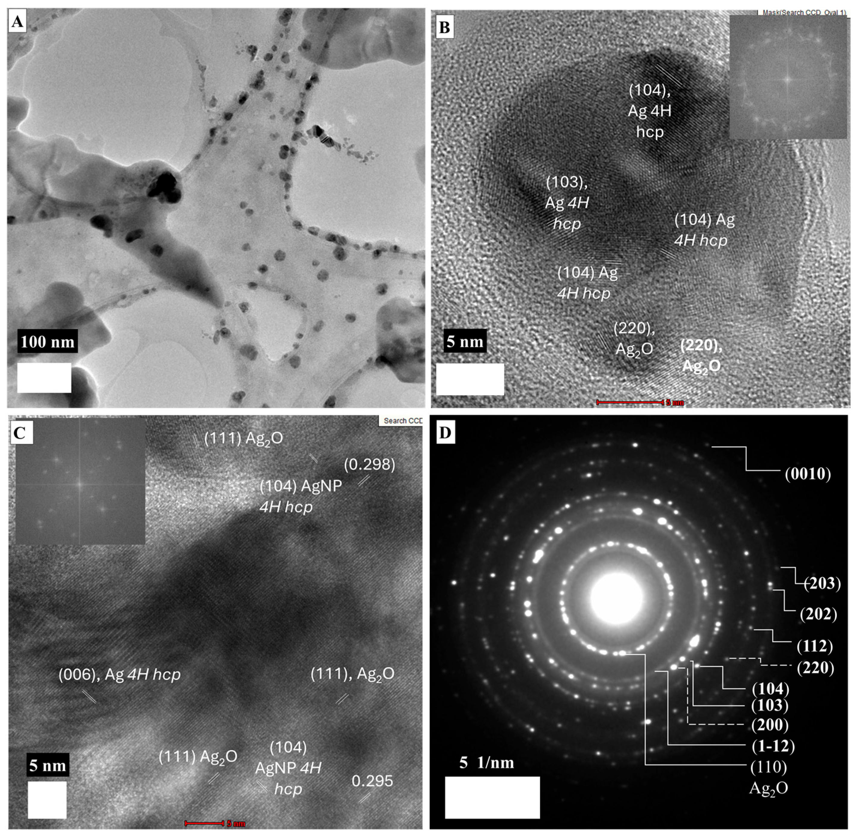 Applnano 06 00014 g003