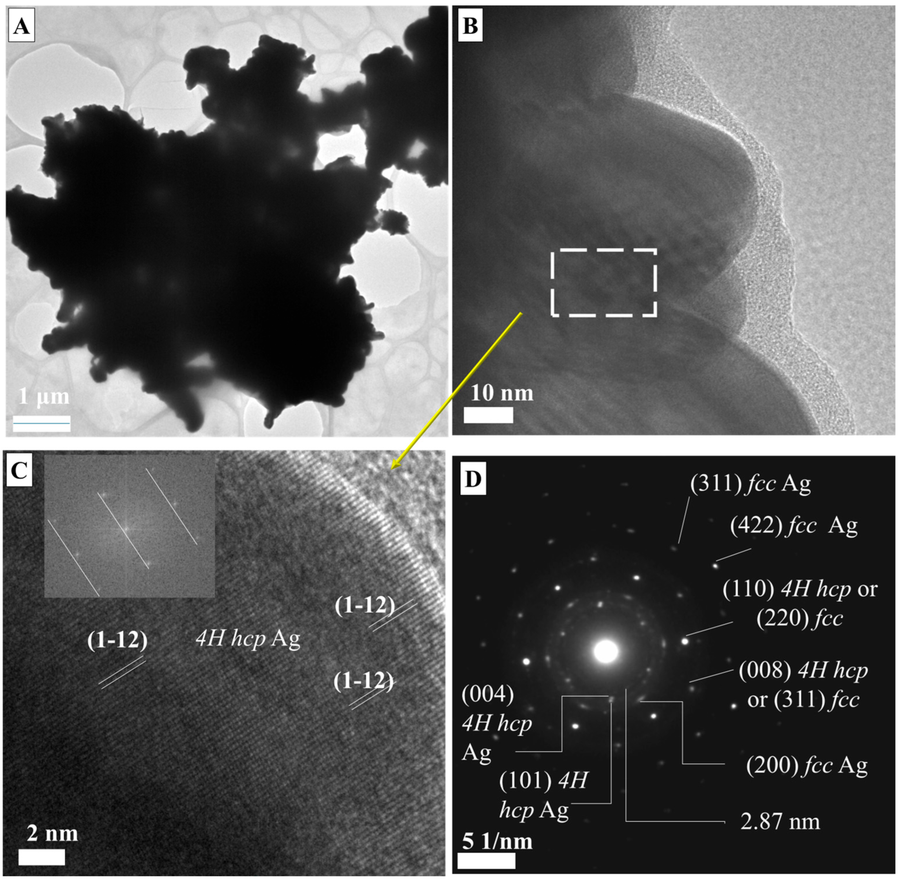 Applnano 06 00014 g004