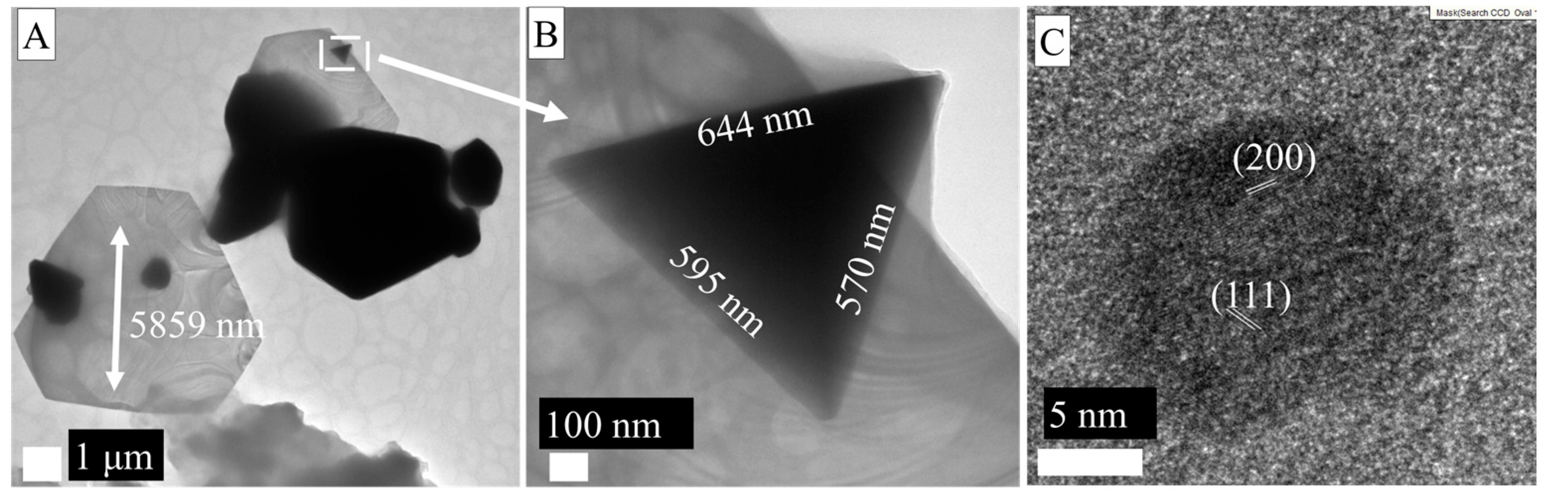 Applnano 06 00014 g005