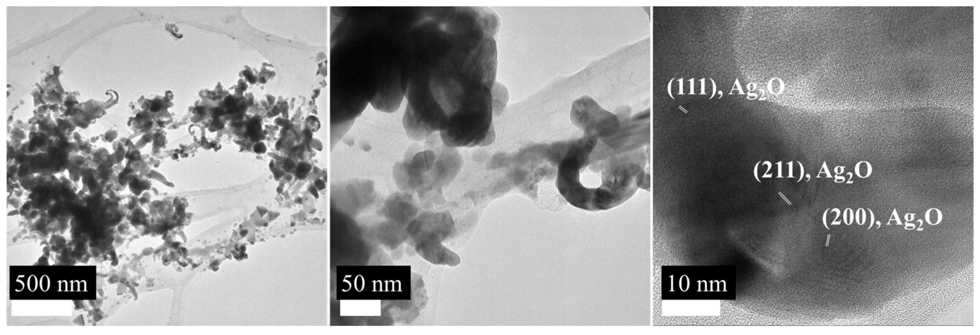 Applnano 06 00014 g006